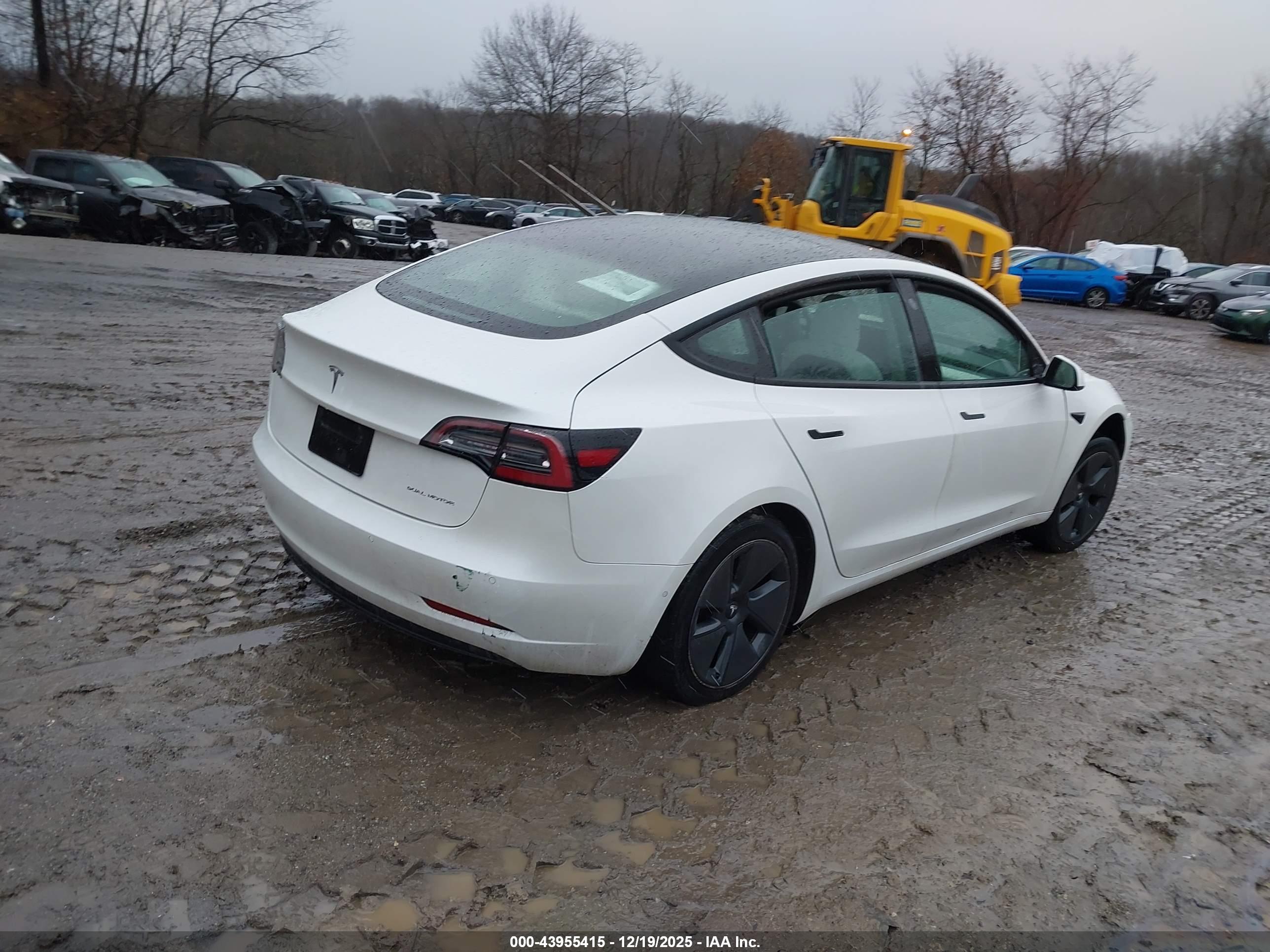 TESLA MODEL image 4