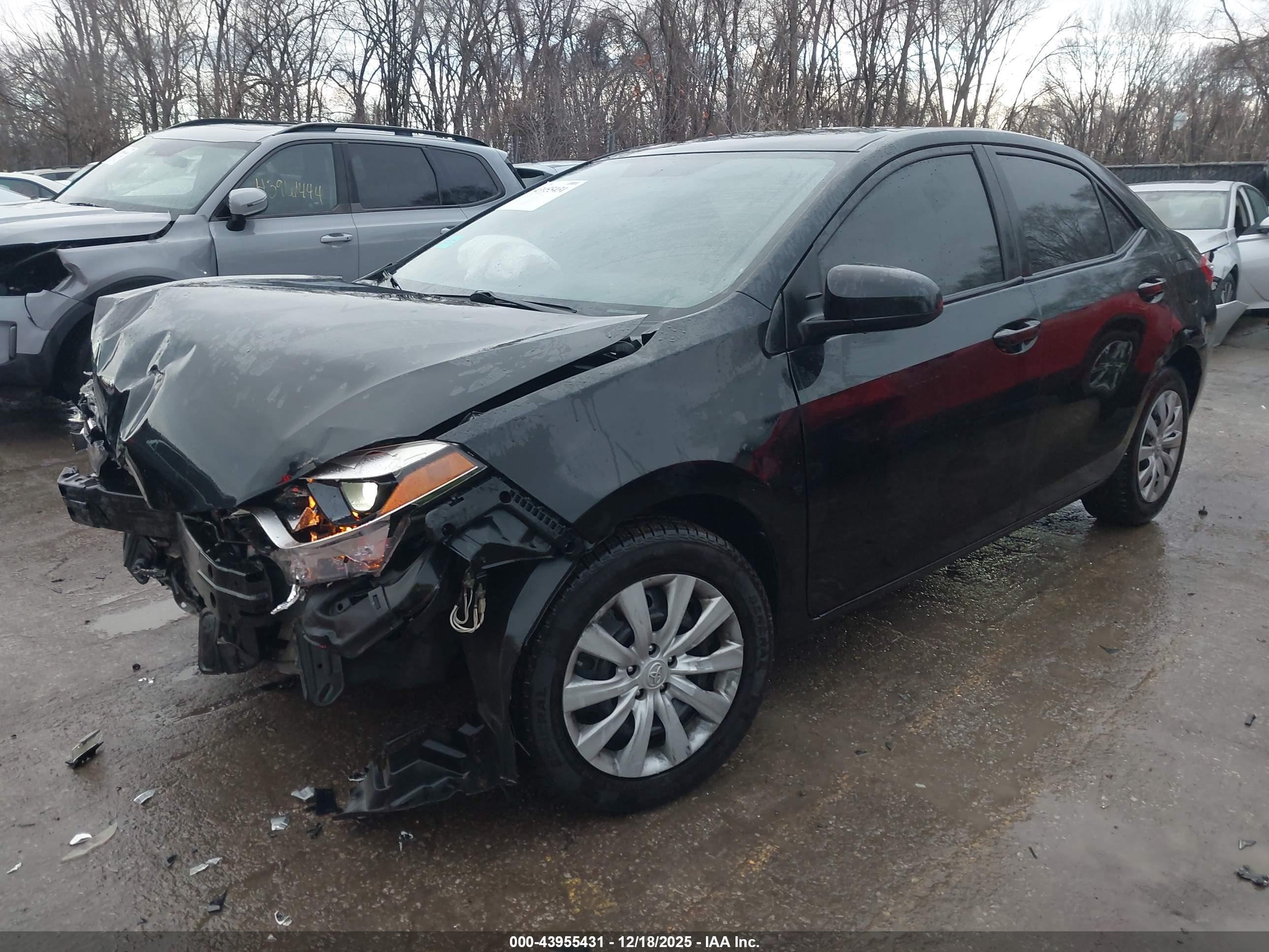 TOYOTA COROLLA image 2