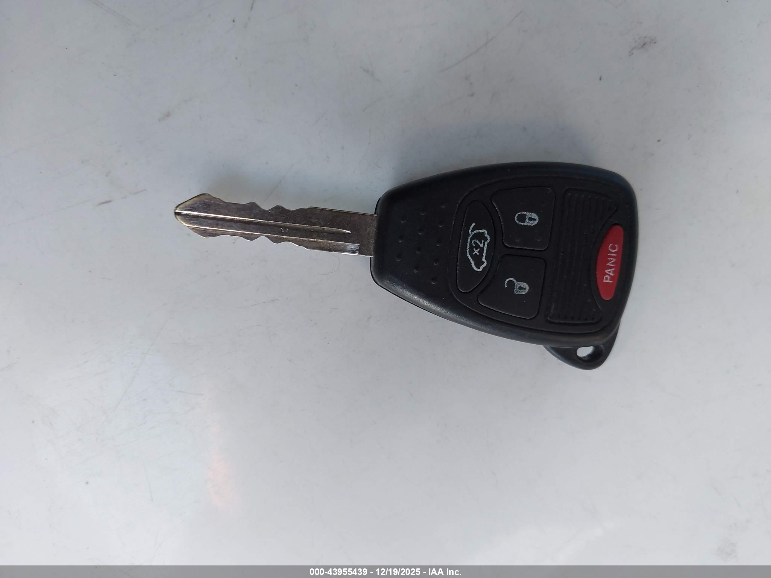 JEEP WRANGLER image 11