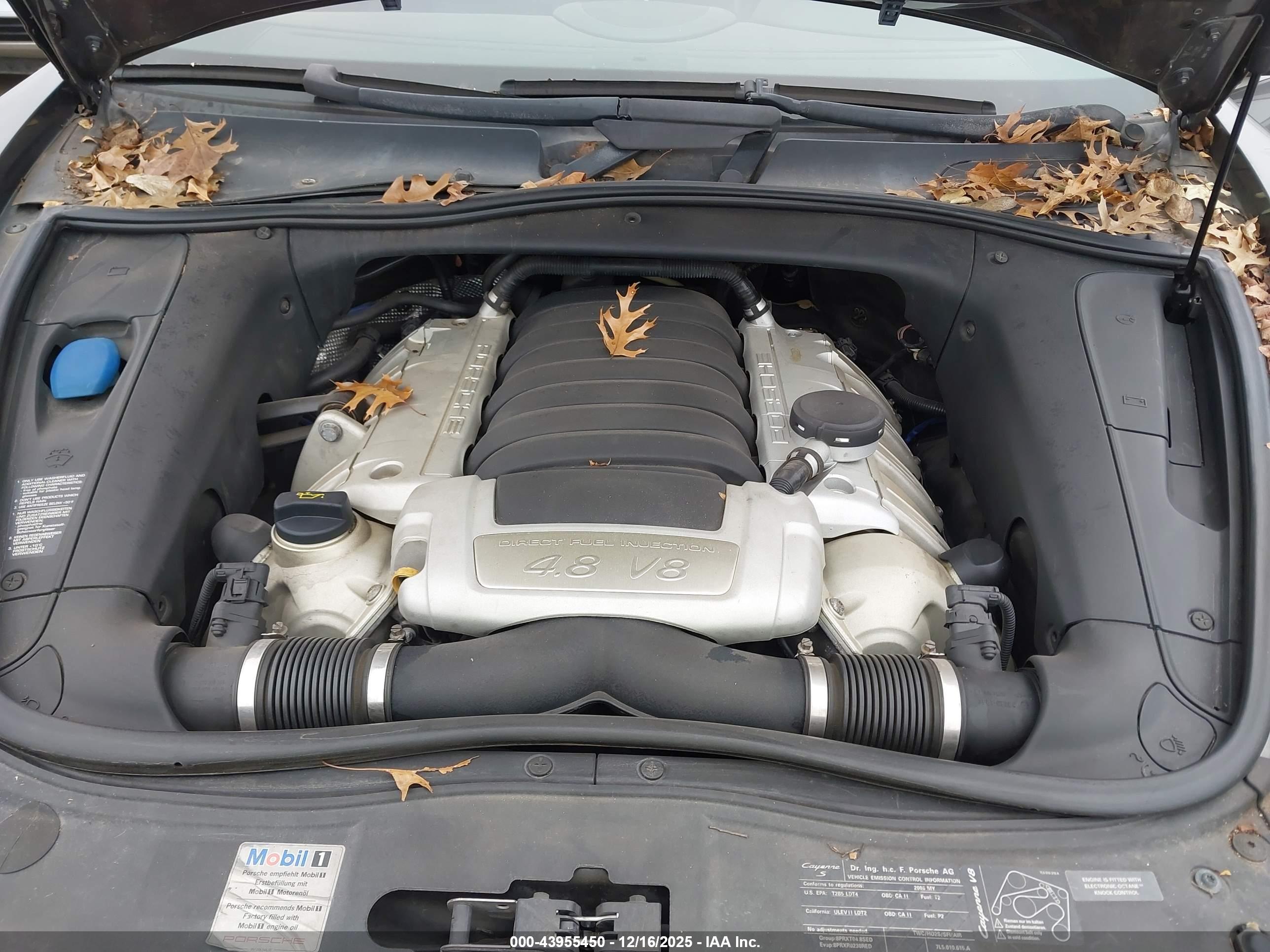 PORSCHE CAYENNE image 10