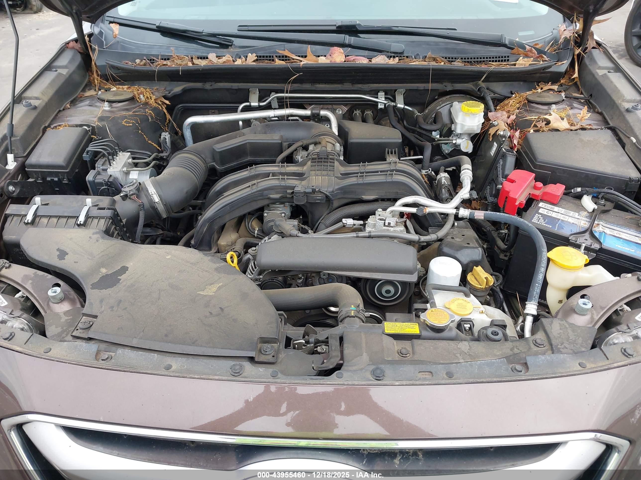 SUBARU OUTBACK image 10