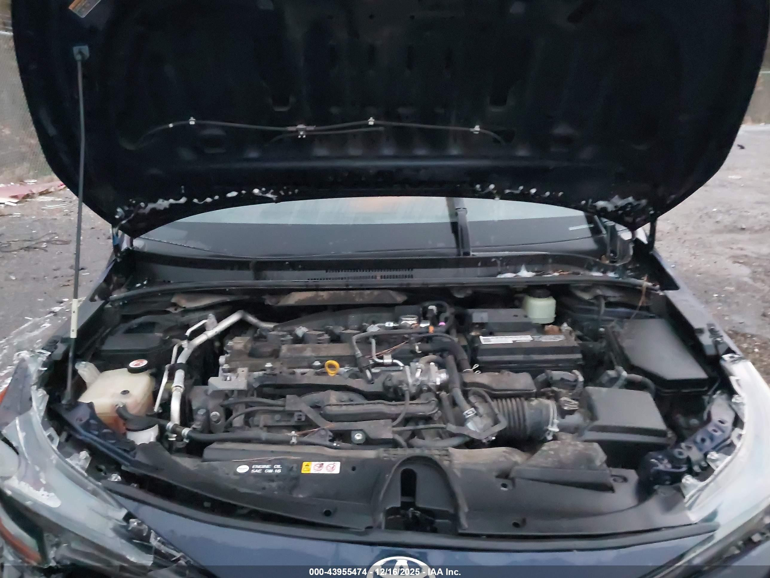TOYOTA COROLLA image 10