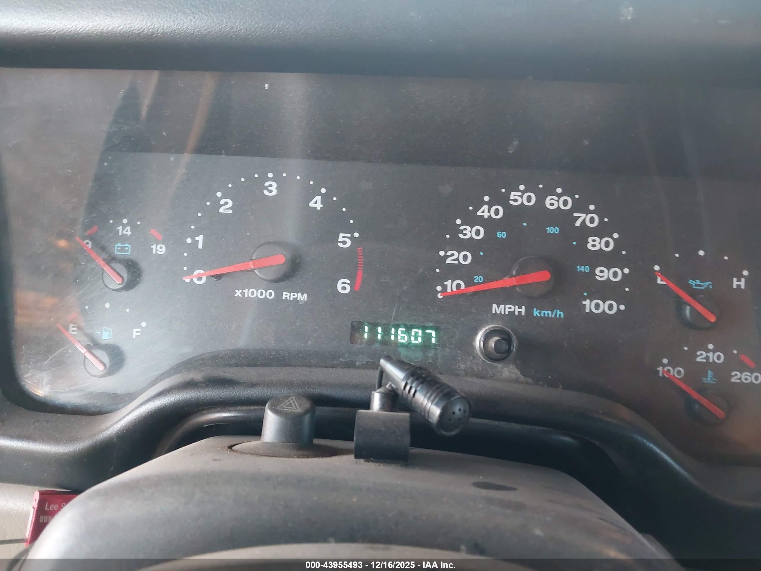 JEEP WRANGLER image 7