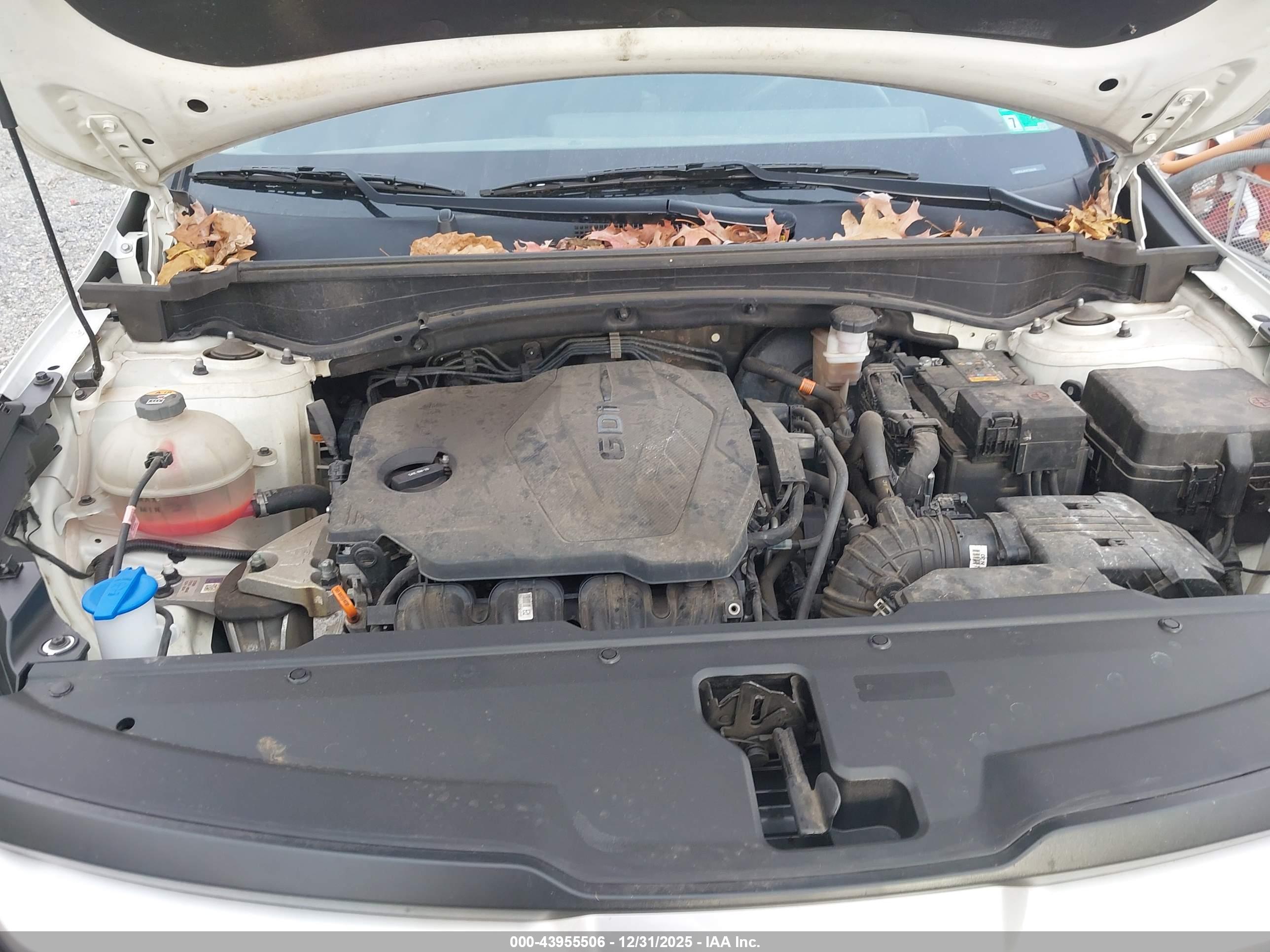 KIA SPORTAGE image 10