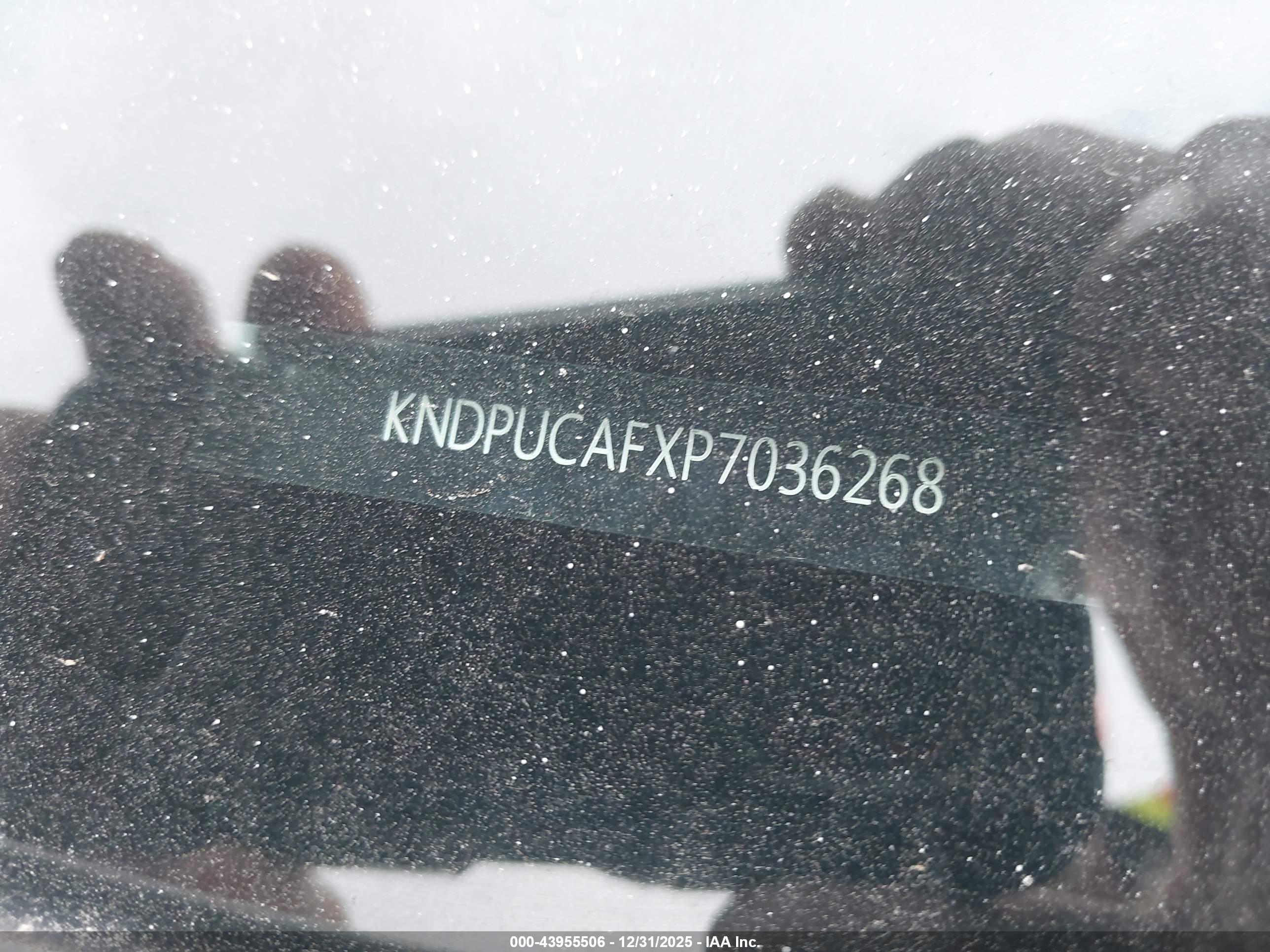 KIA SPORTAGE image 9