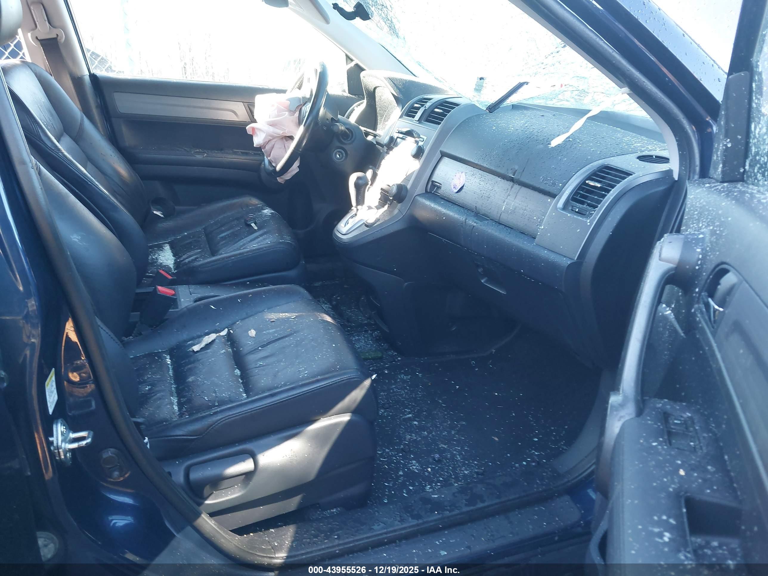 HONDA CR-V image 5