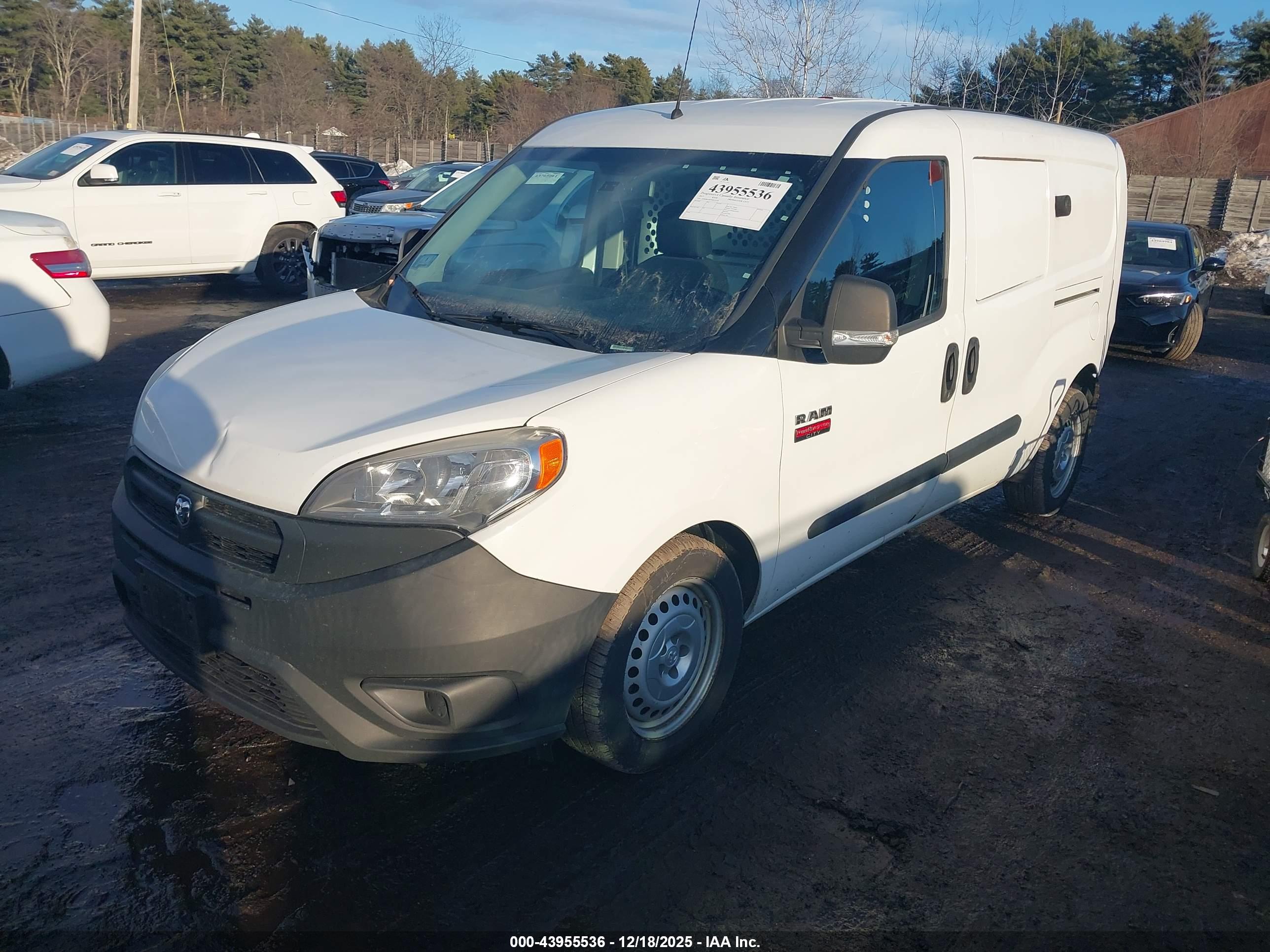 RAM PROMASTER image 2