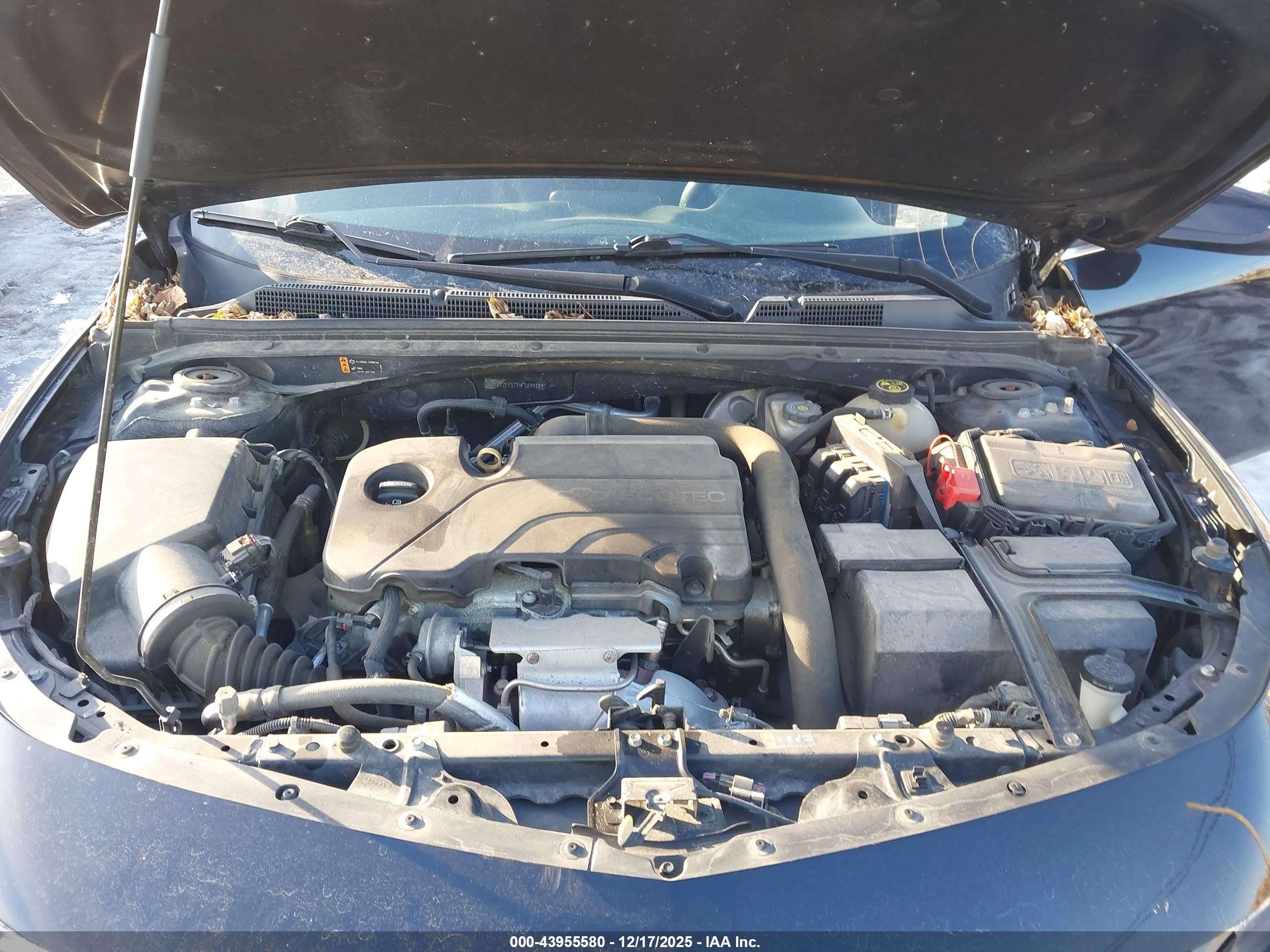 CHEVROLET MALIBU image 10