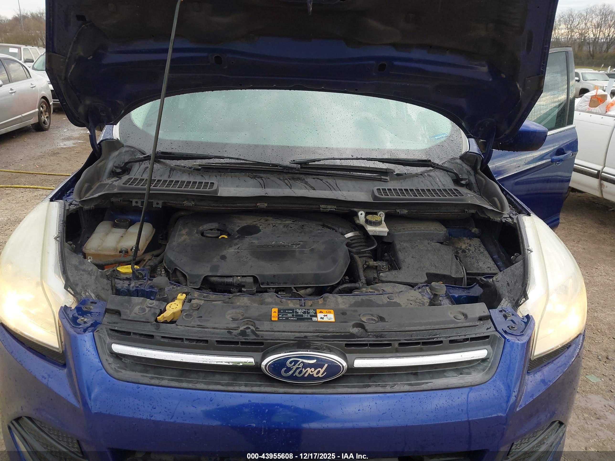 FORD ESCAPE image 10
