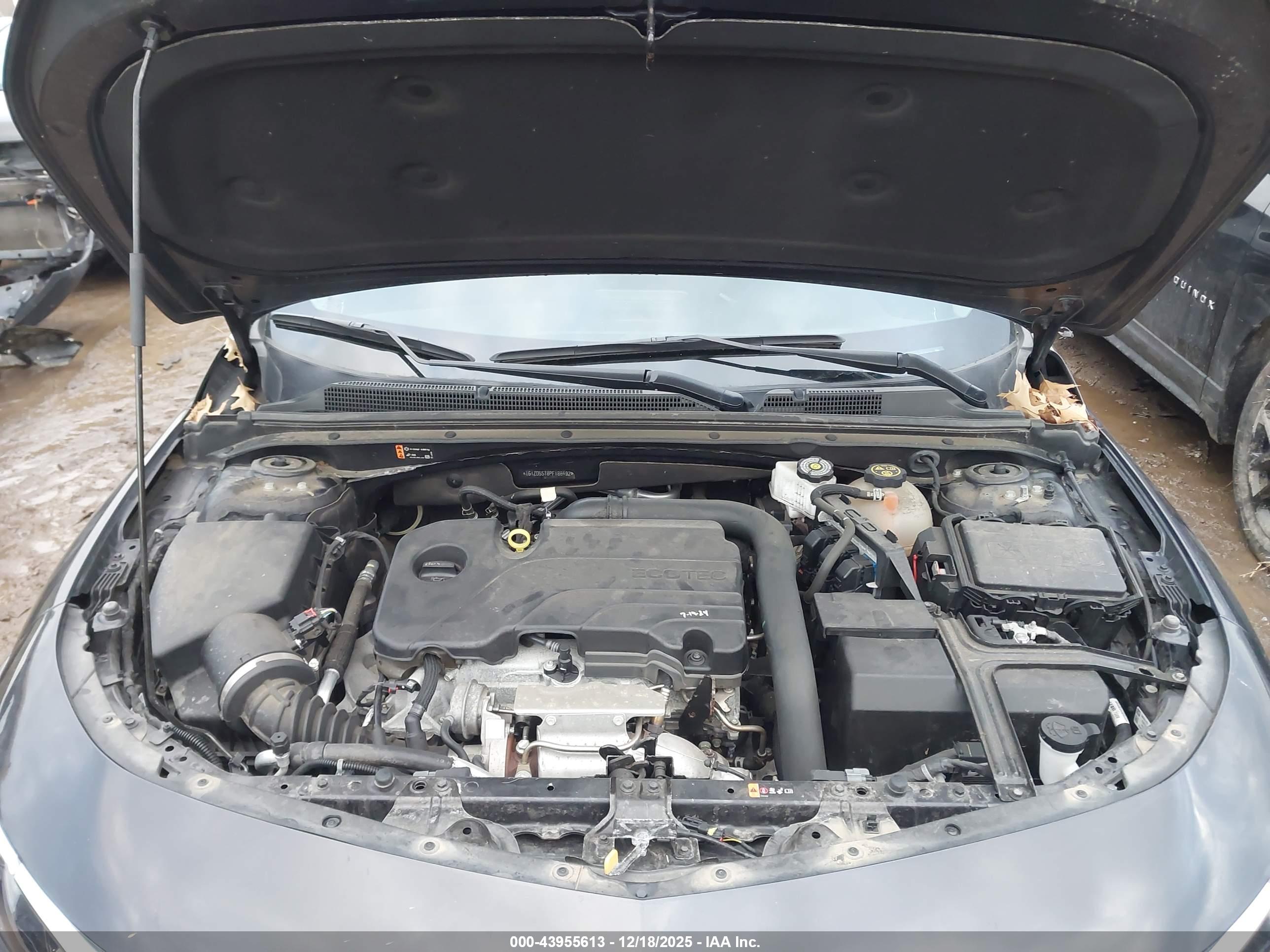 CHEVROLET MALIBU image 10