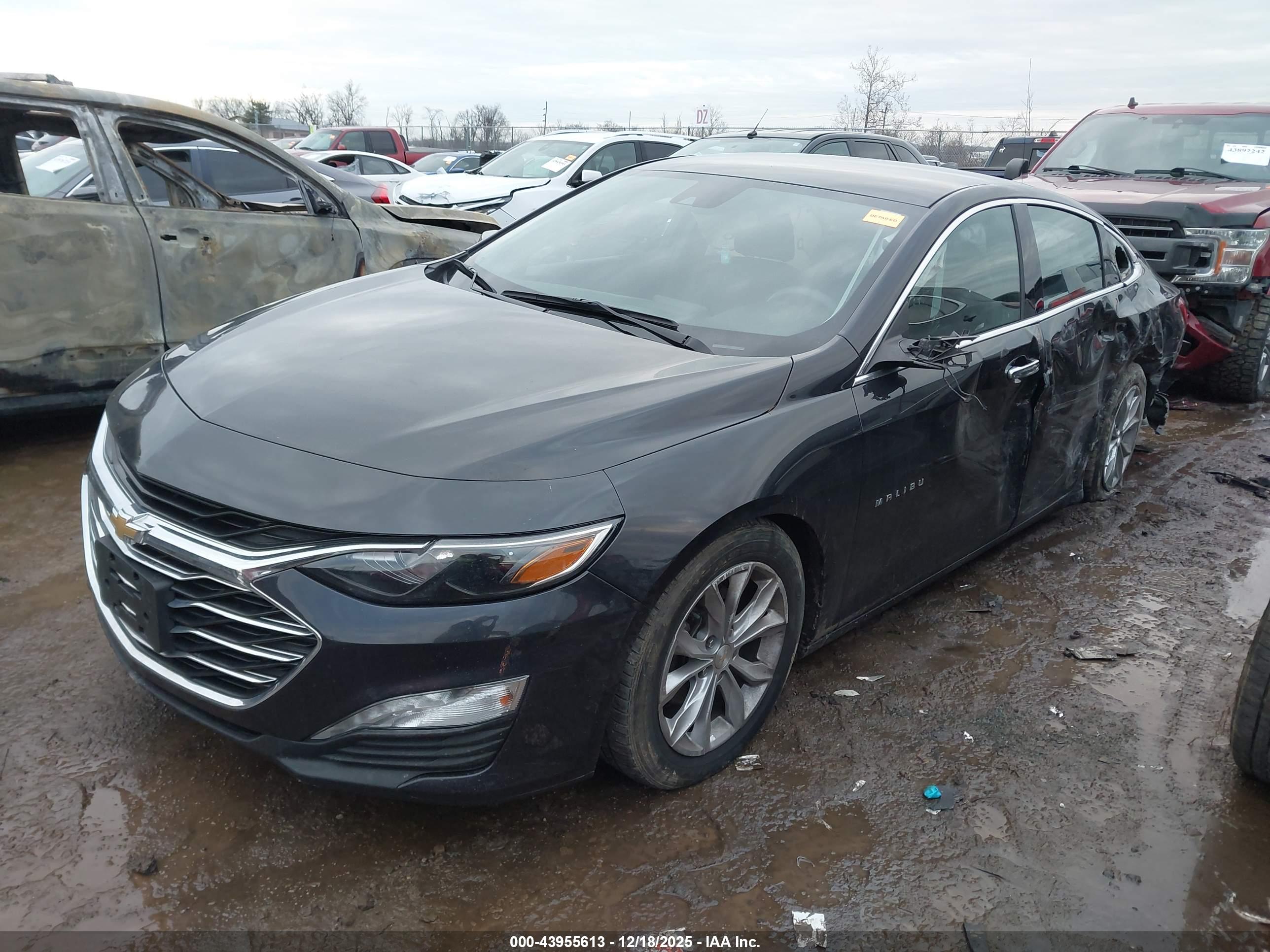 CHEVROLET MALIBU image 2