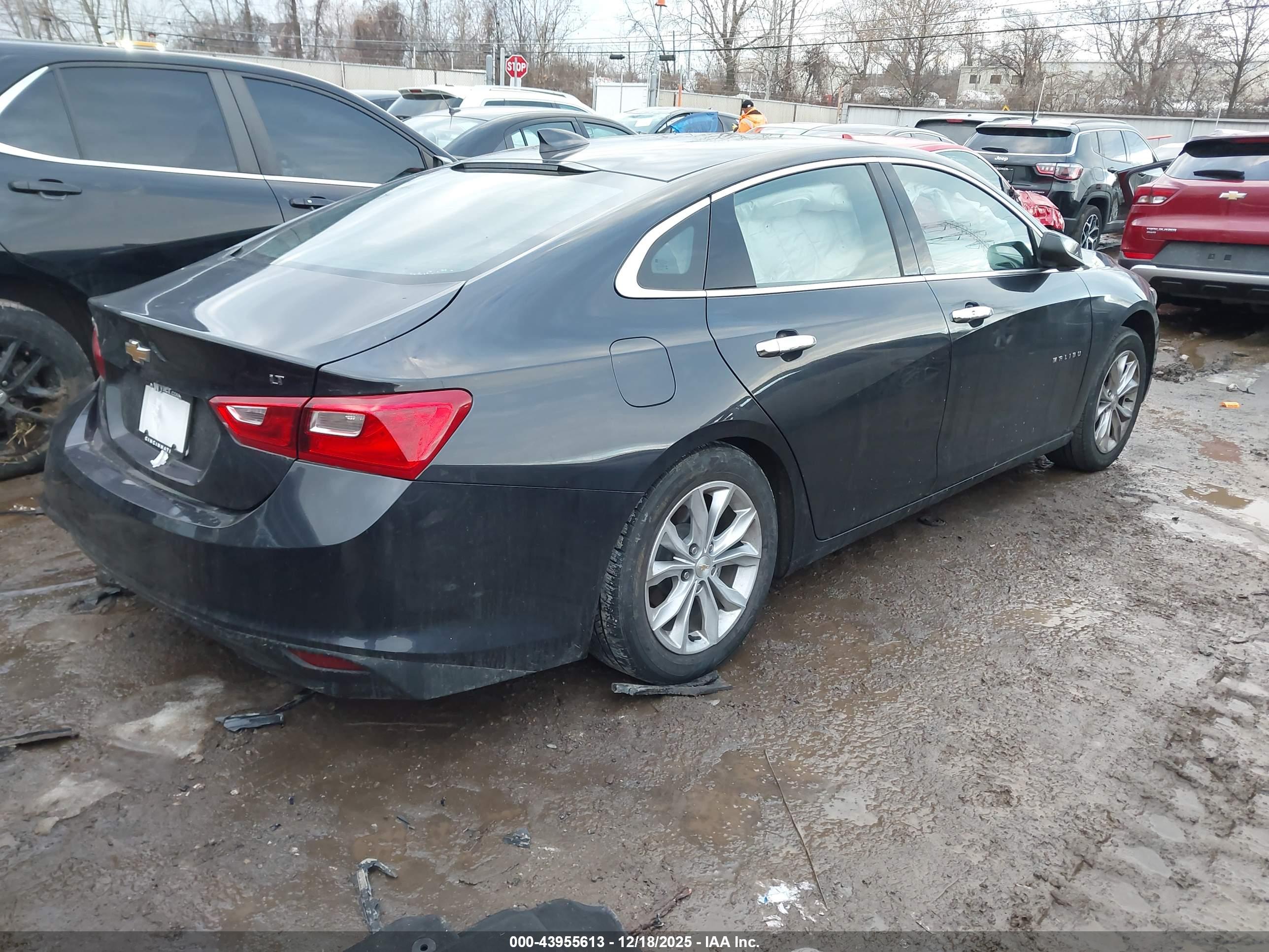 CHEVROLET MALIBU image 4