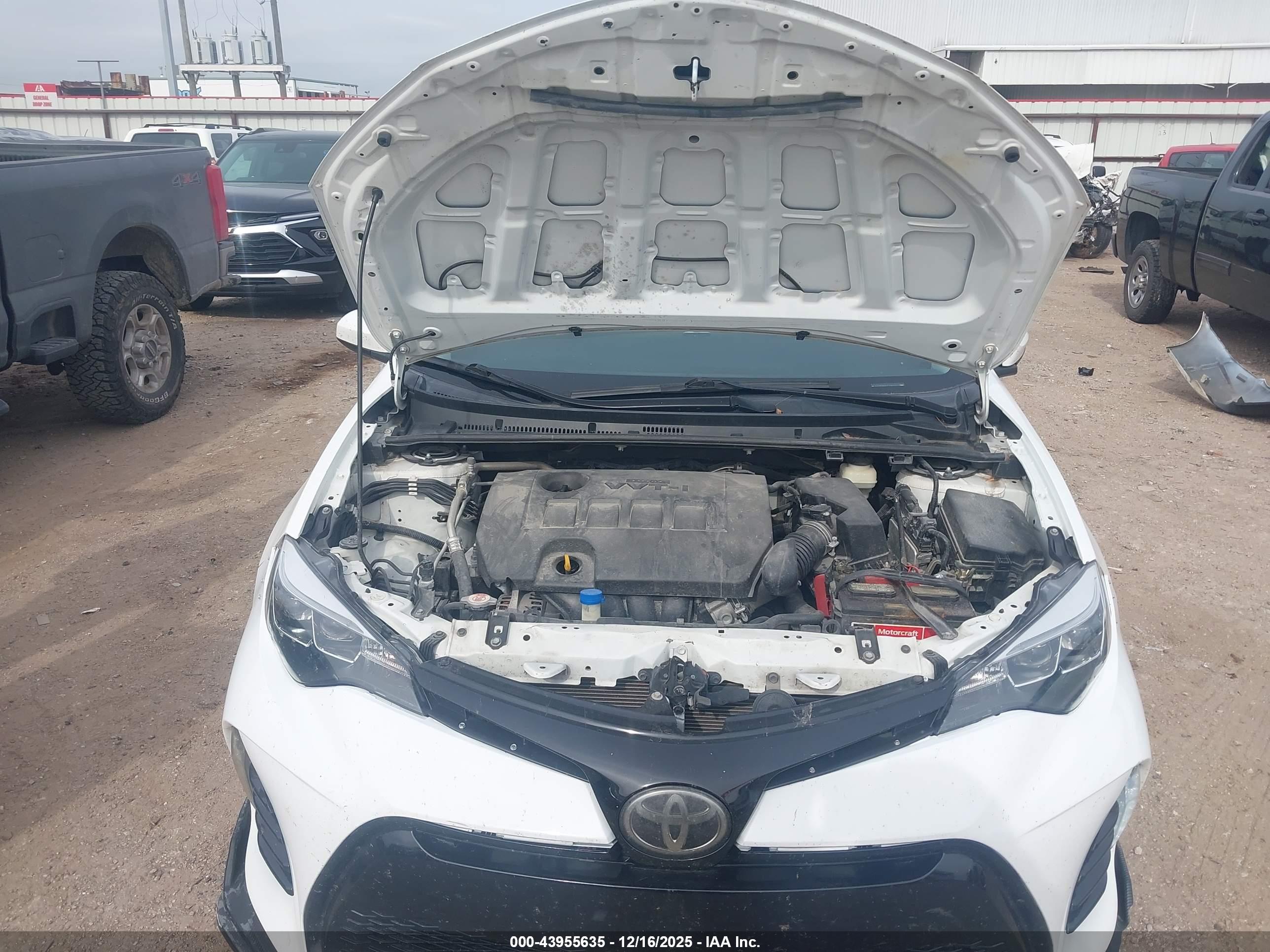 TOYOTA COROLLA image 10