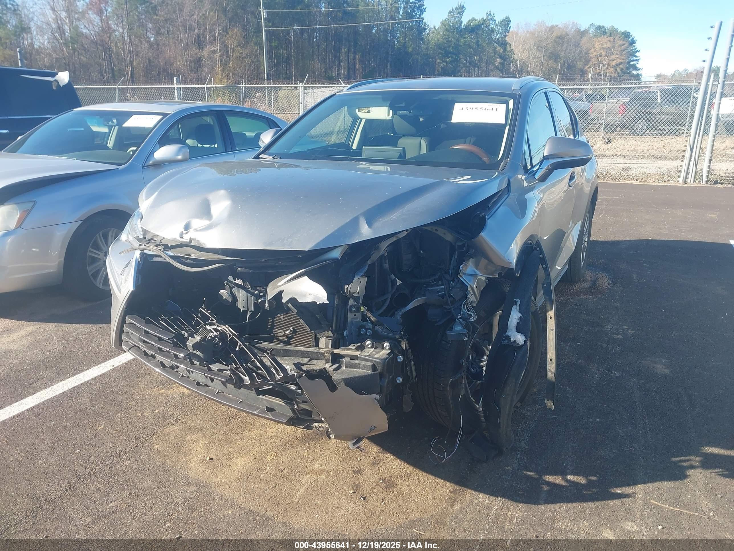 LEXUS NX image 6