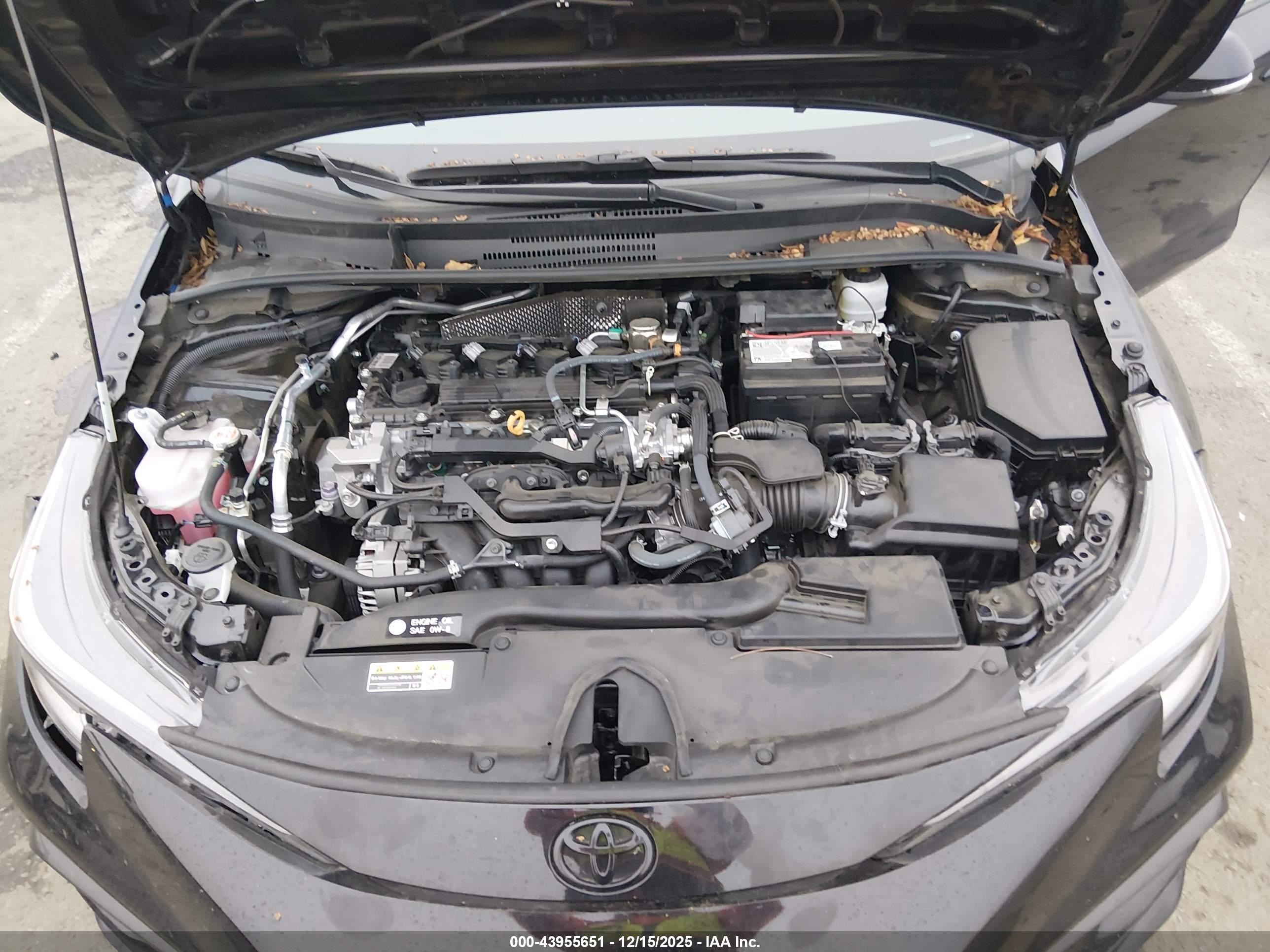 TOYOTA COROLLA image 10