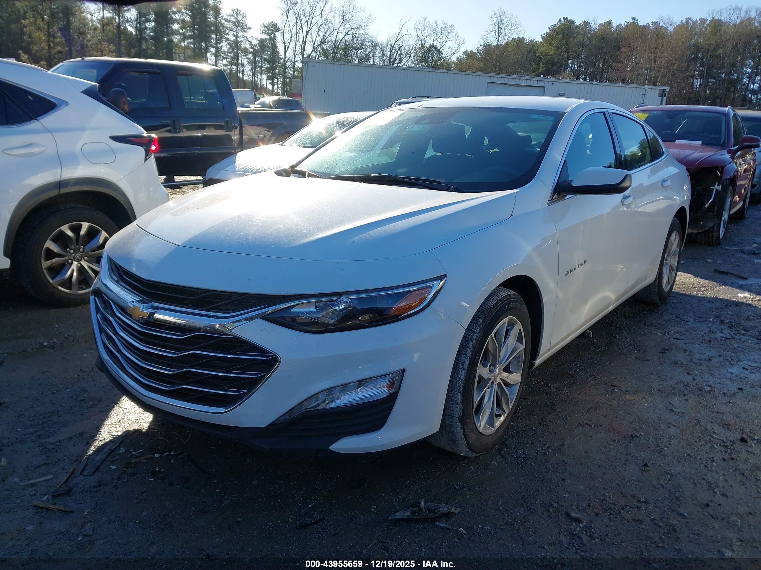 CHEVROLET MALIBU image 2