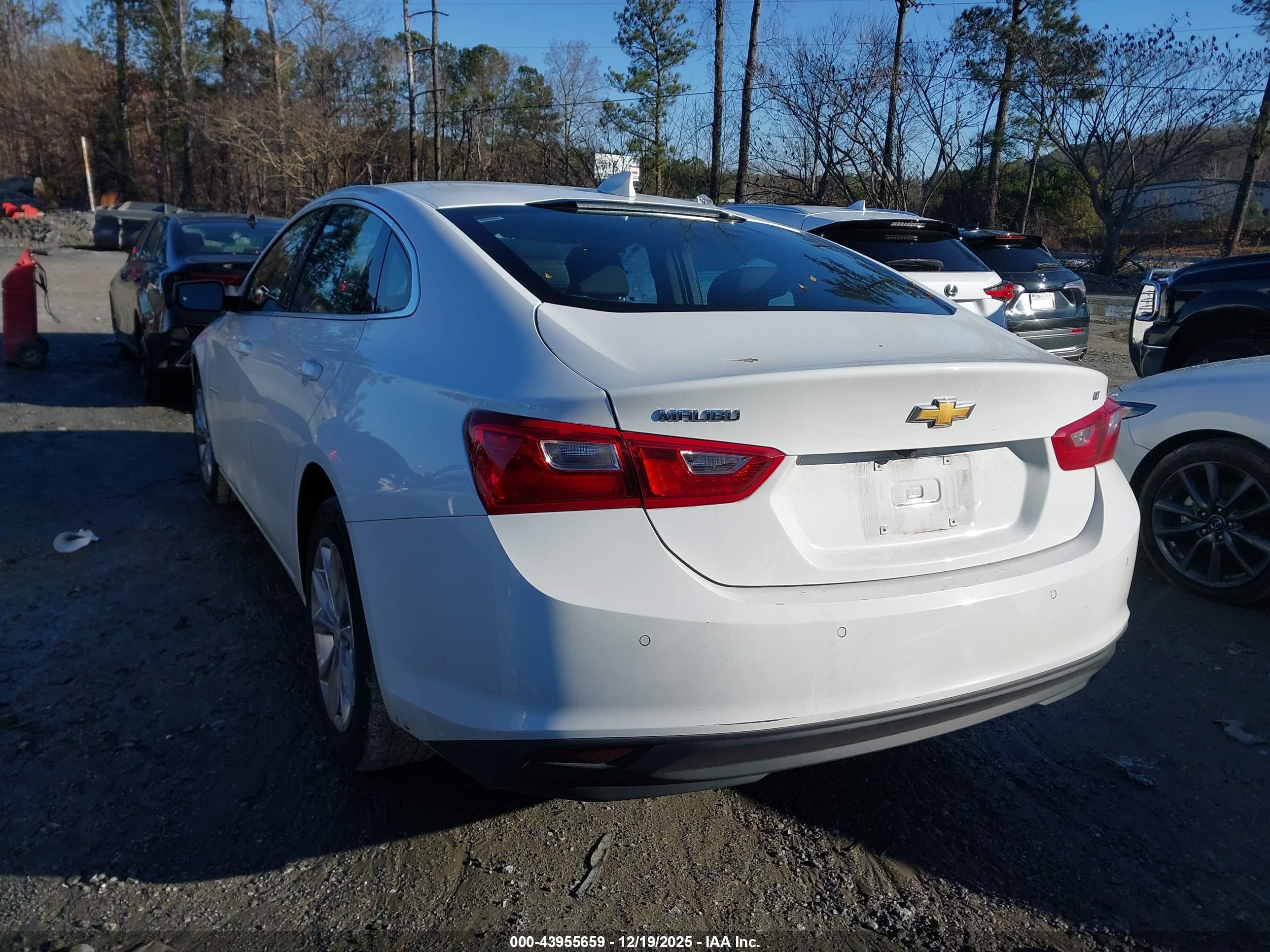 CHEVROLET MALIBU image 3