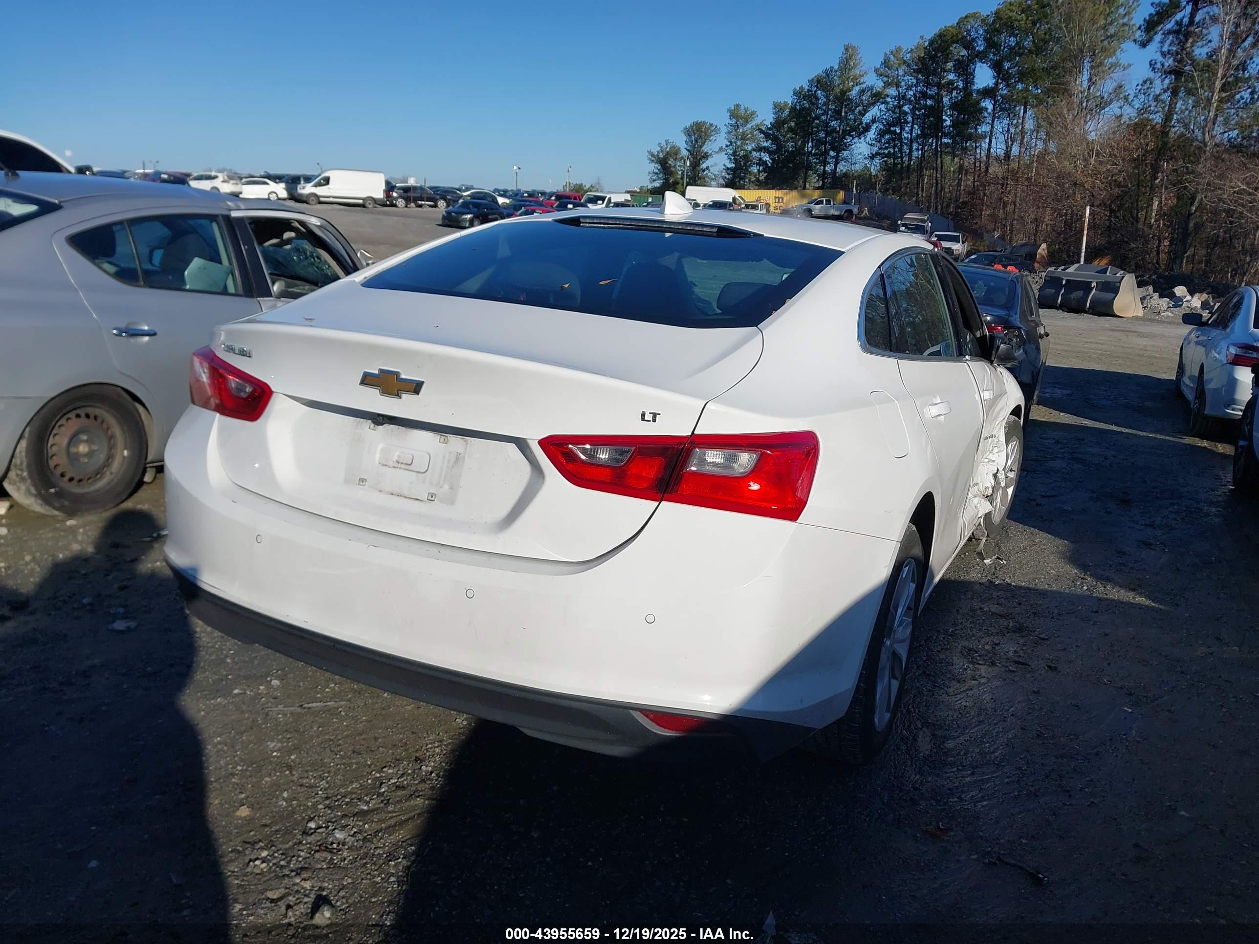 CHEVROLET MALIBU image 4