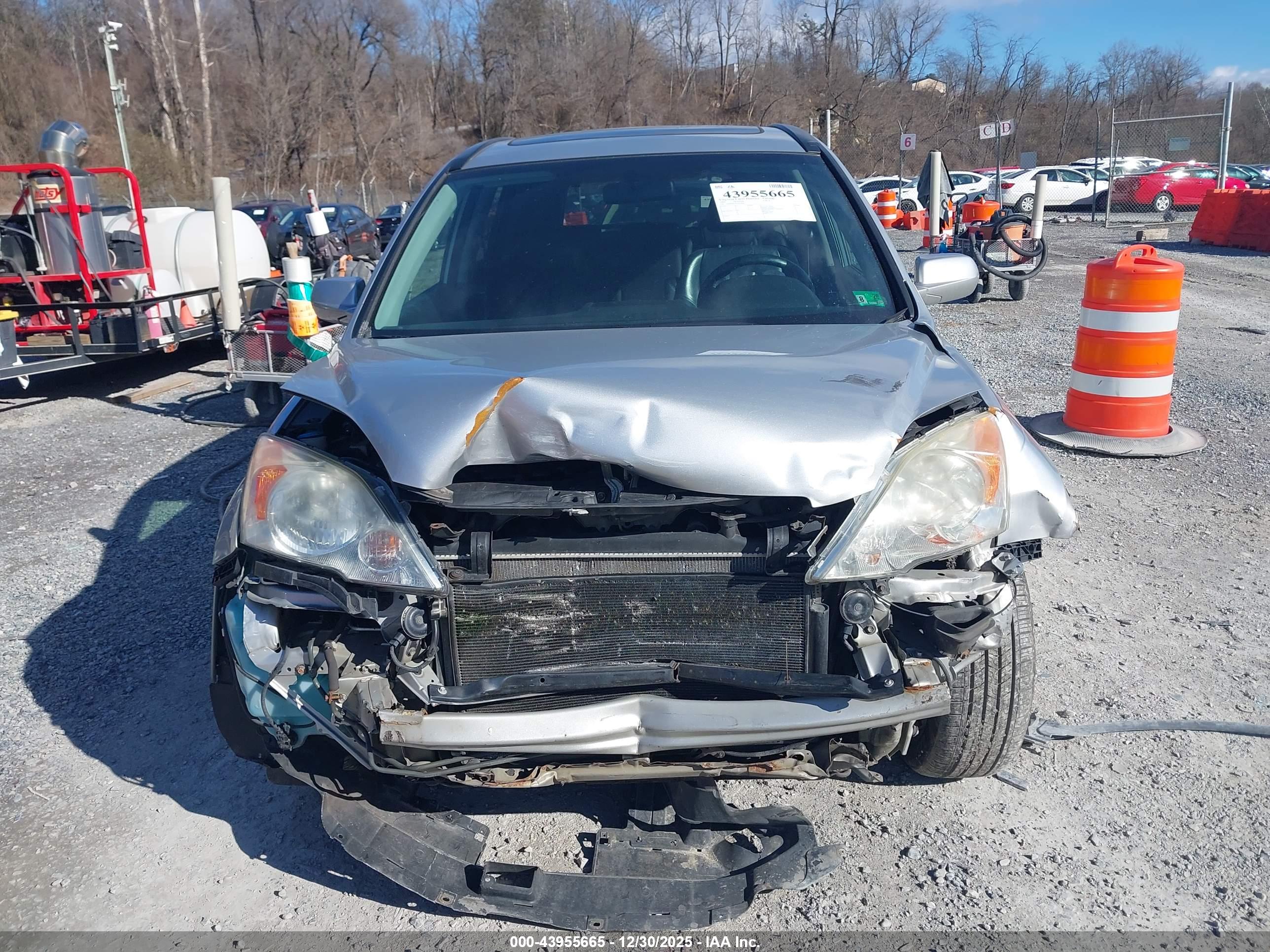 HONDA CR-V image 6