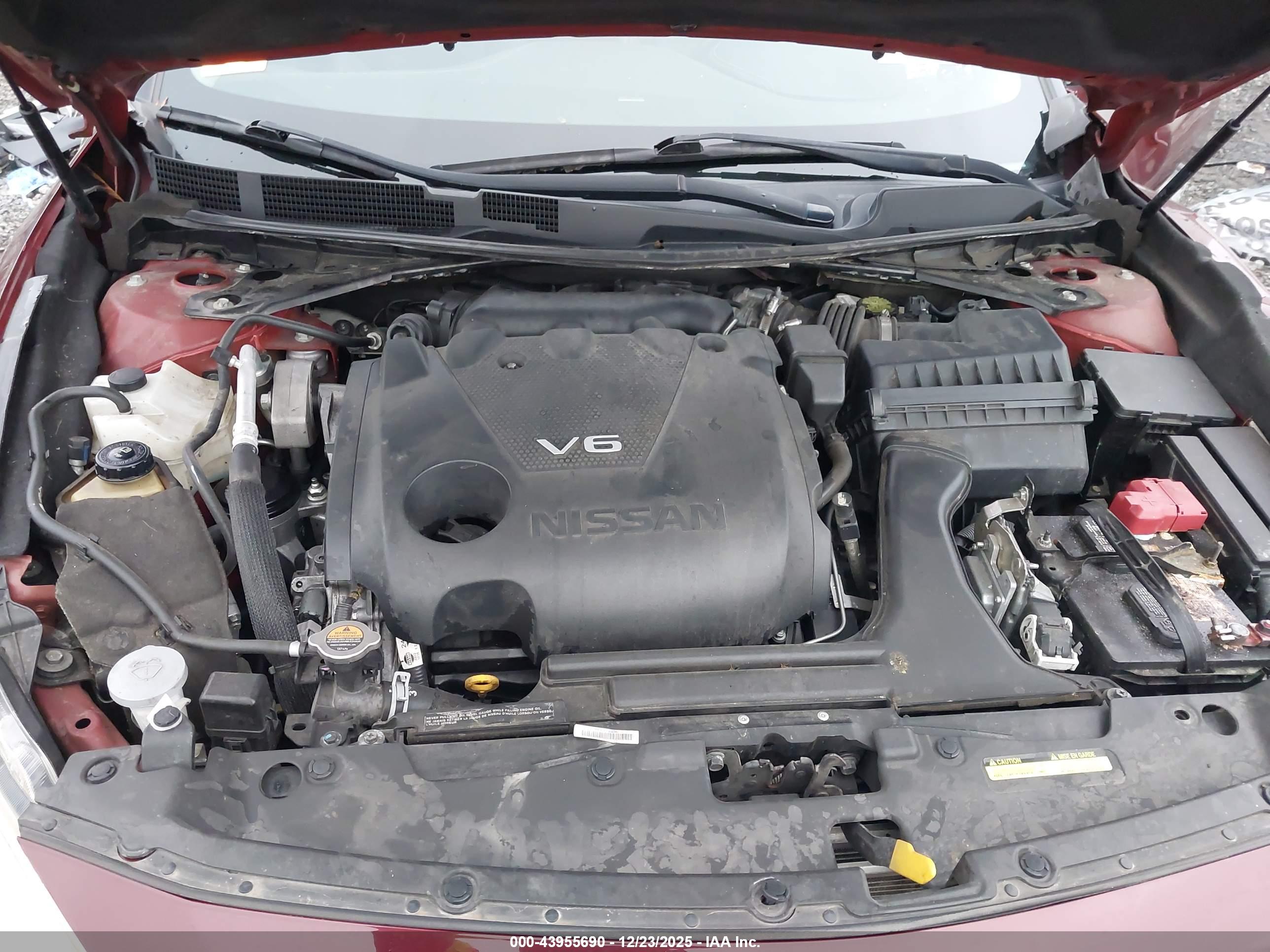 NISSAN MAXIMA image 10