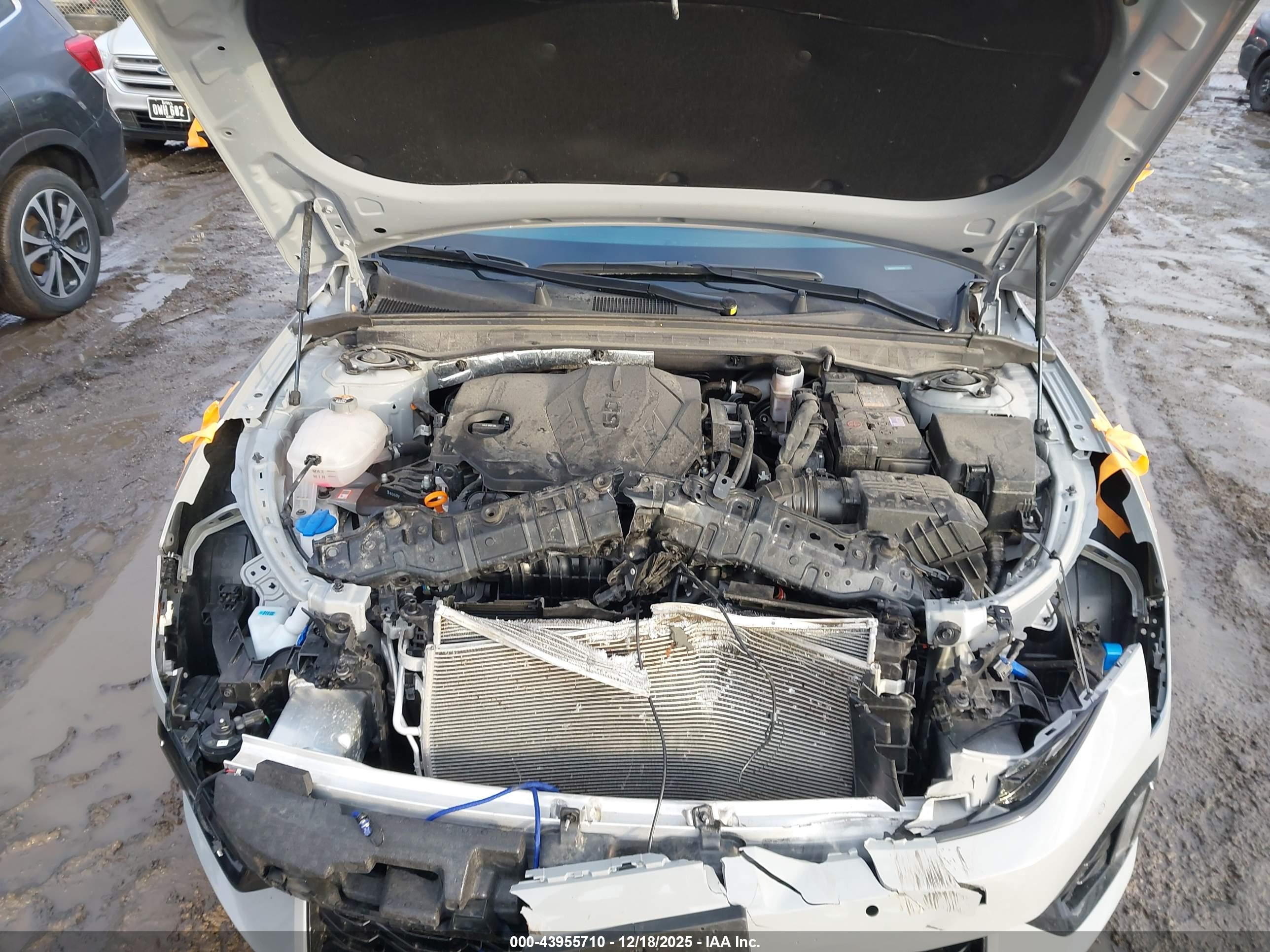 KIA K5 image 10