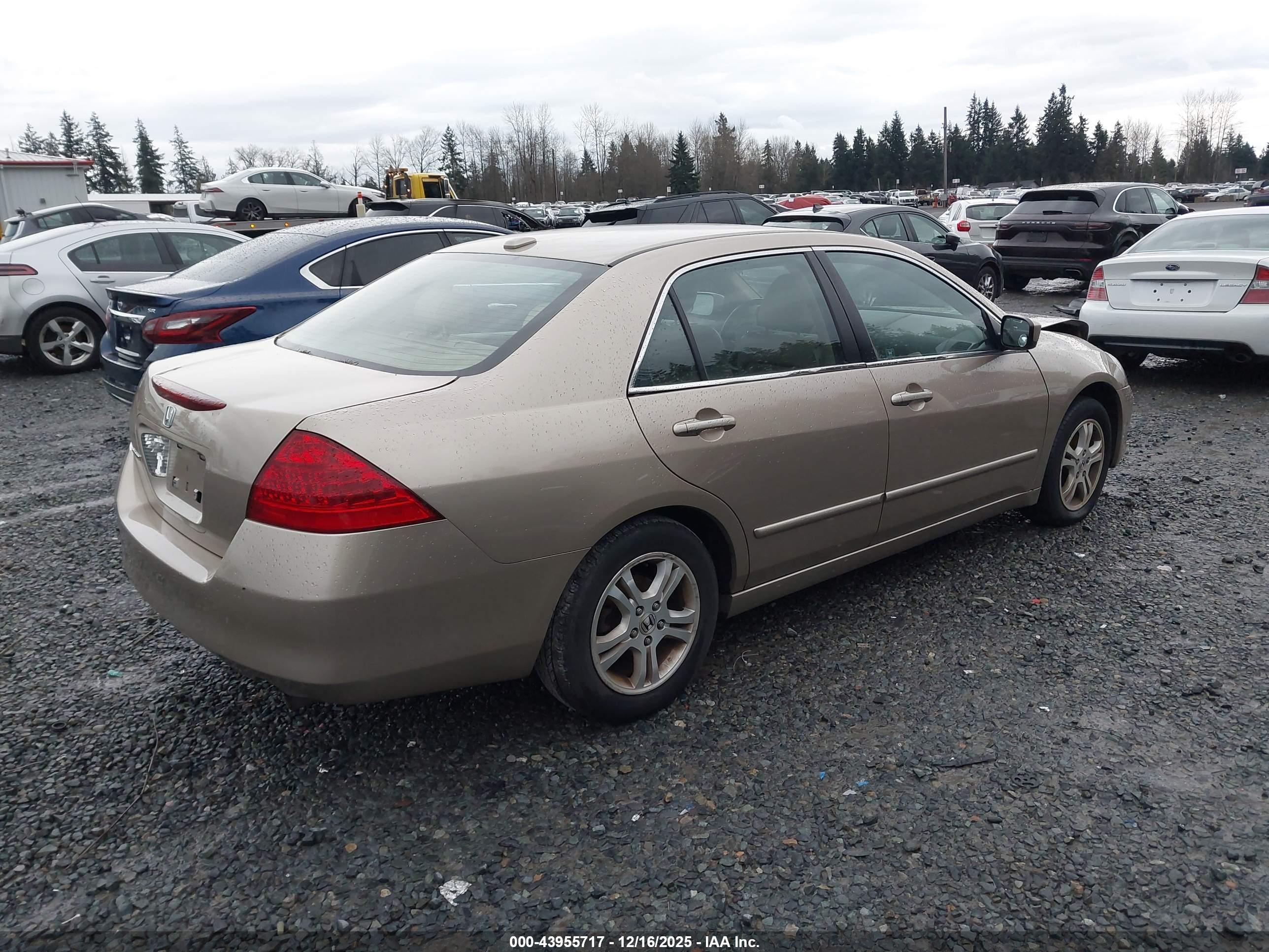 HONDA ACCORD image 4