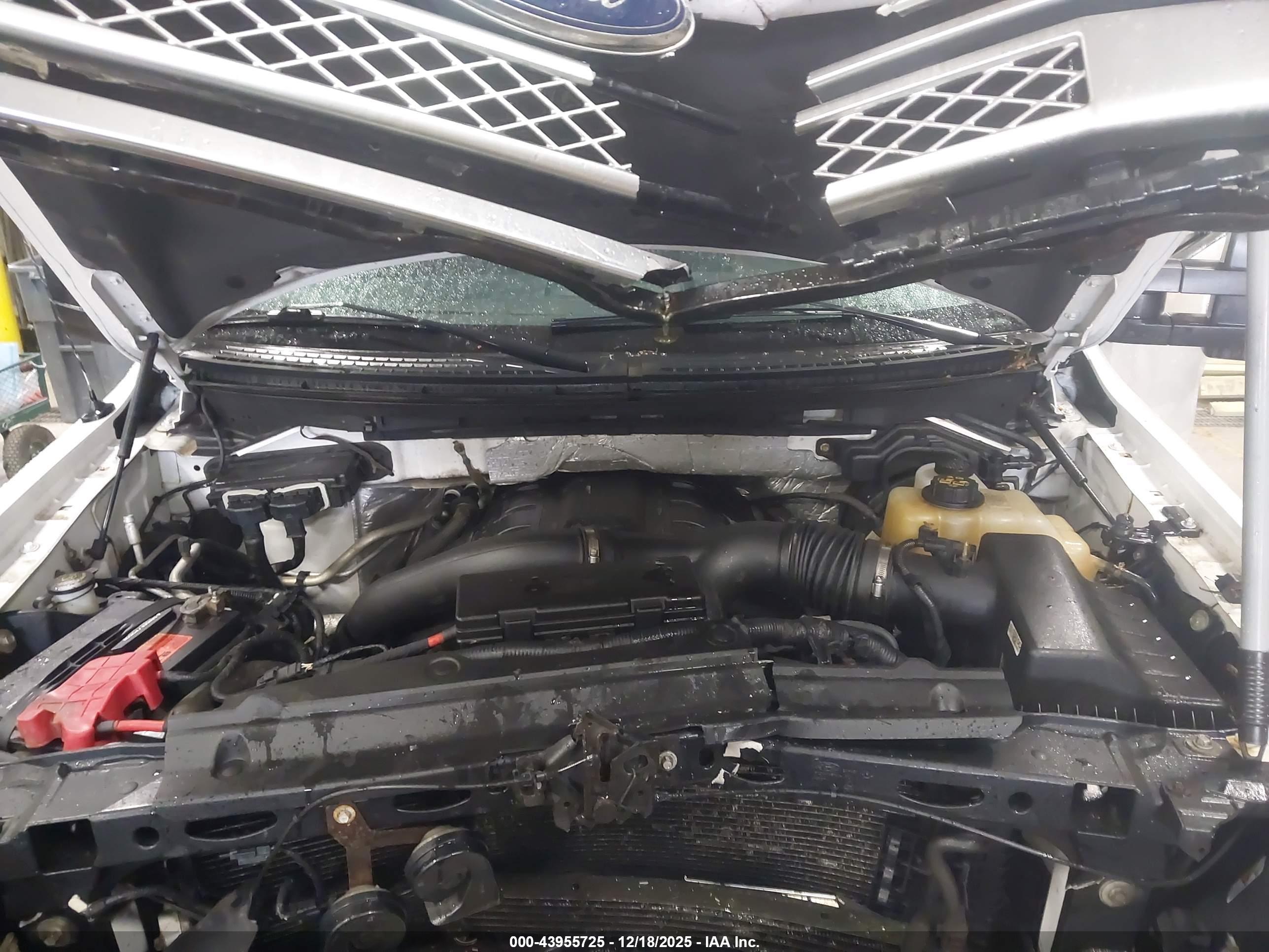 FORD F-150 image 10