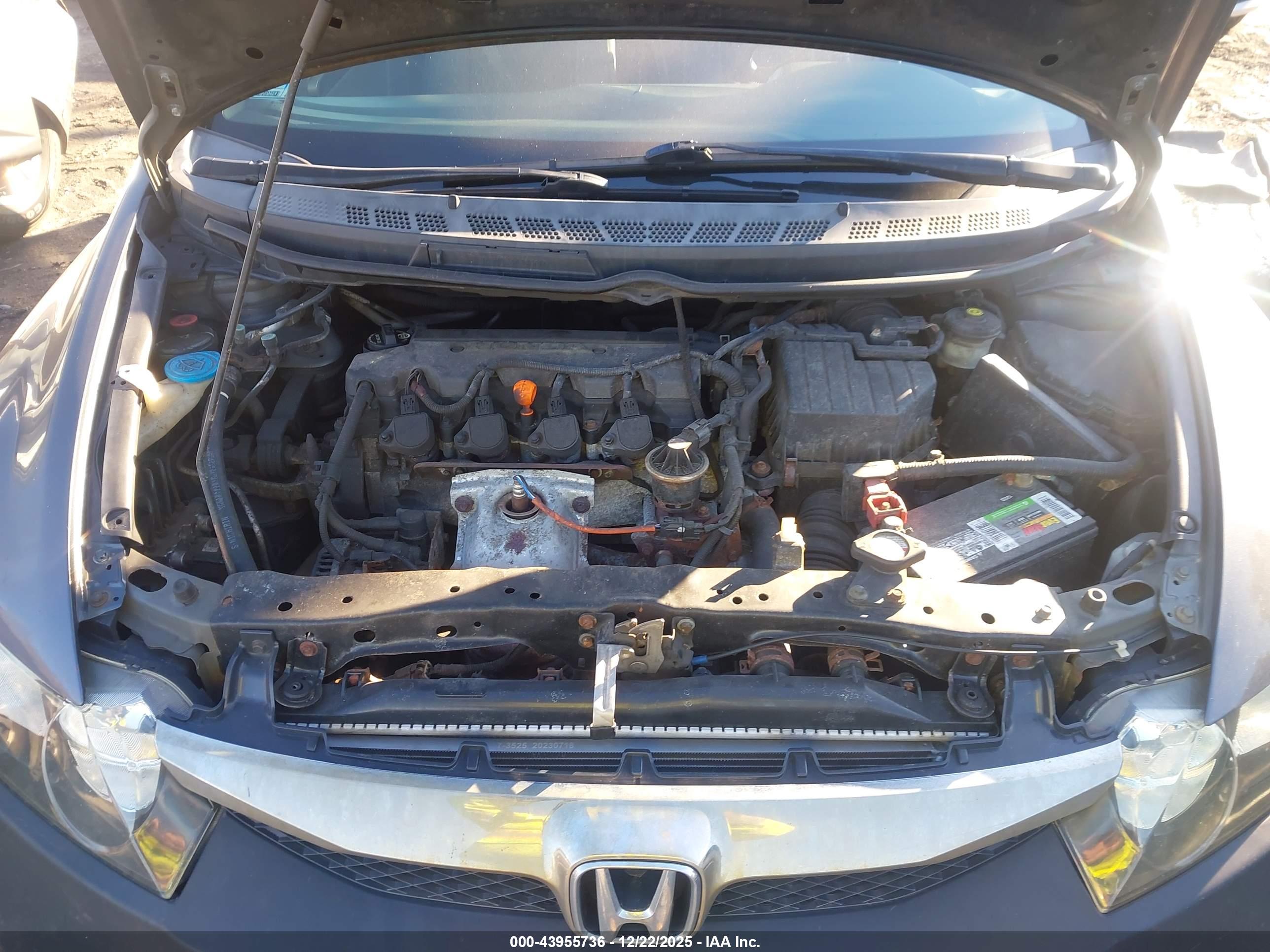 HONDA CIVIC image 10