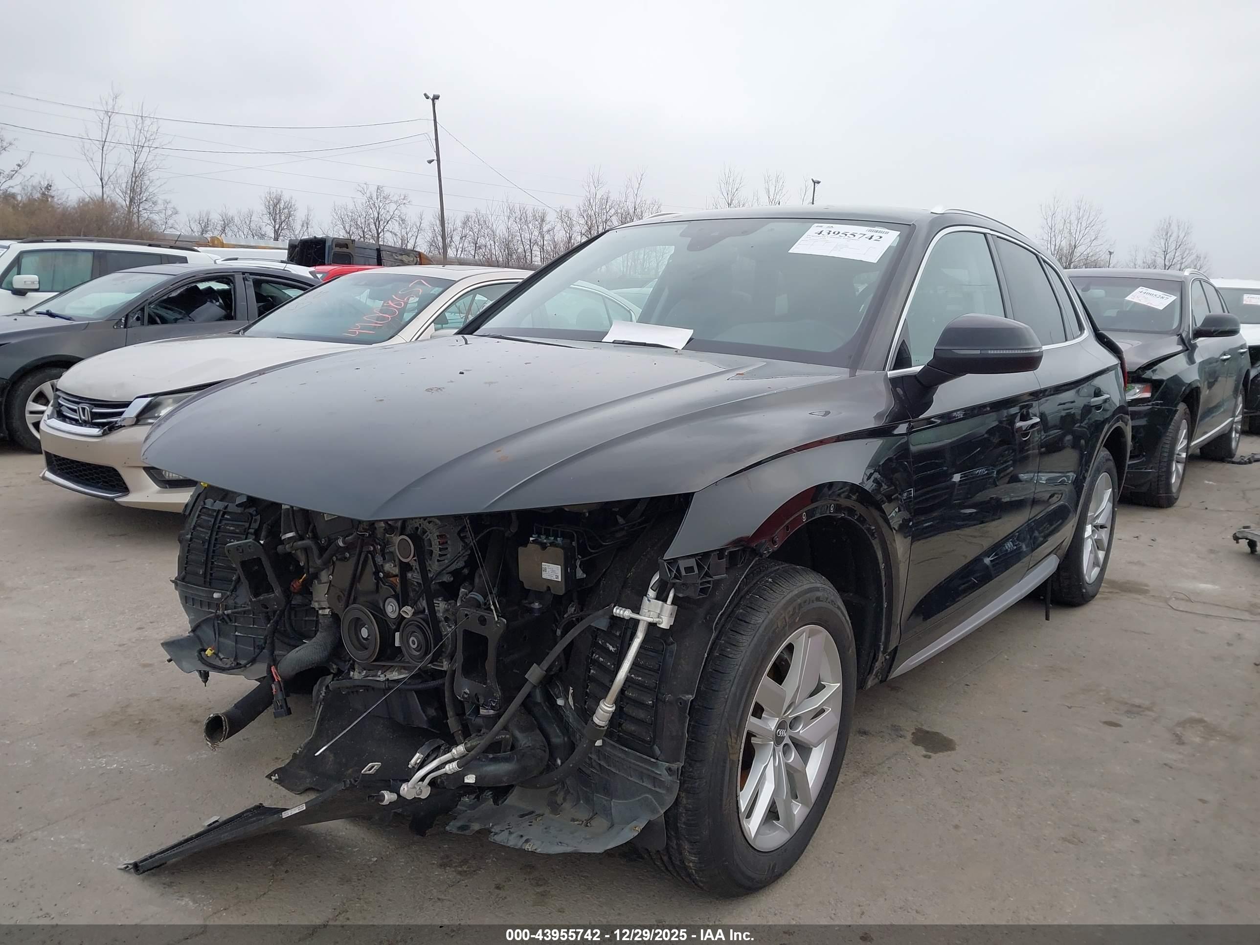 AUDI Q5 image 2