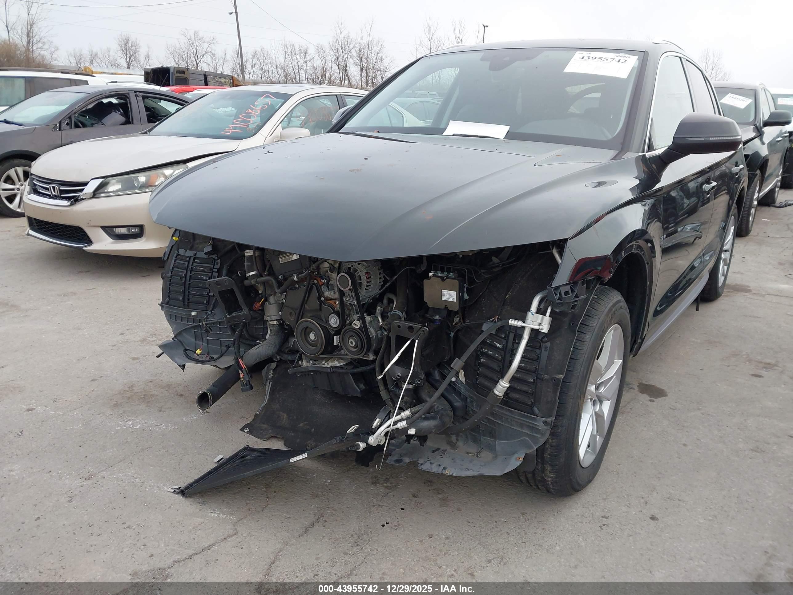 AUDI Q5 image 6