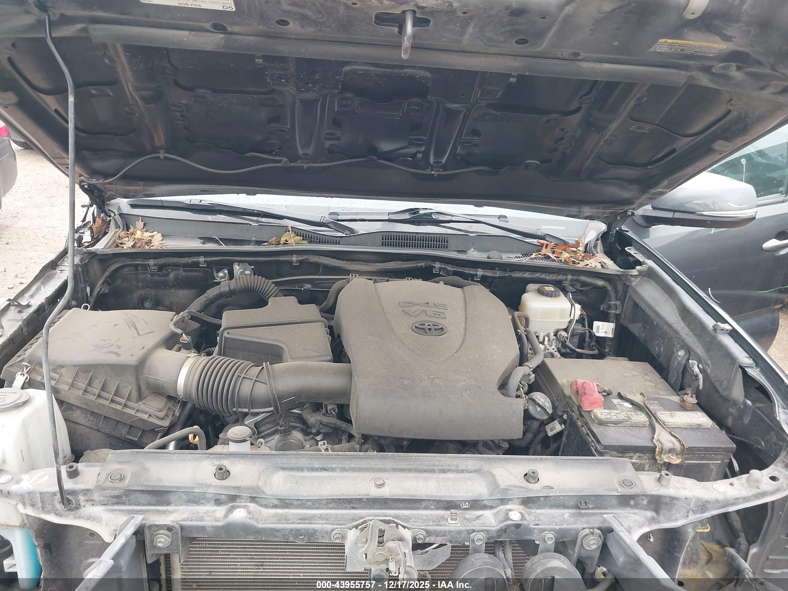 TOYOTA TACOMA image 10