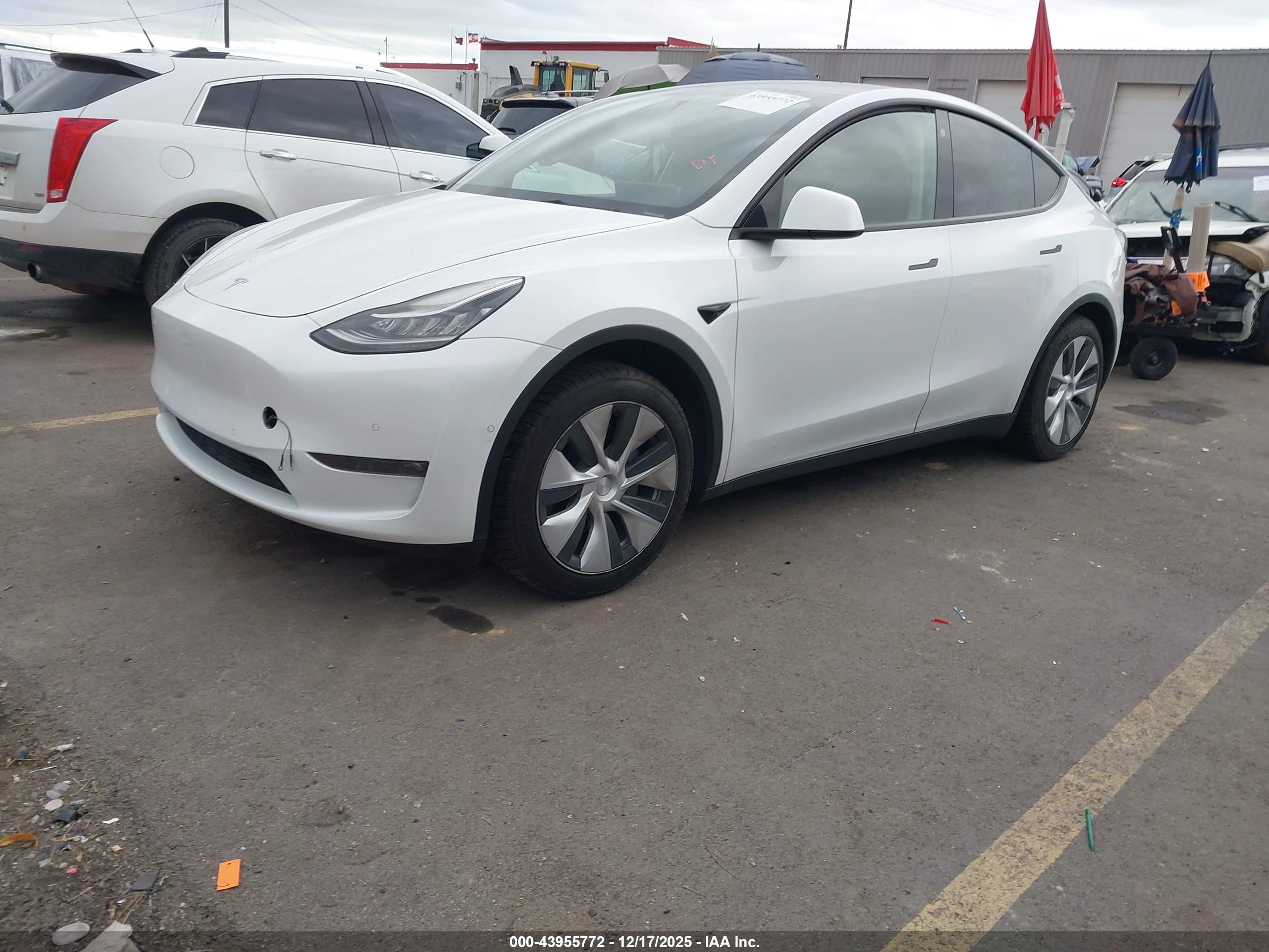 TESLA MODEL image 2