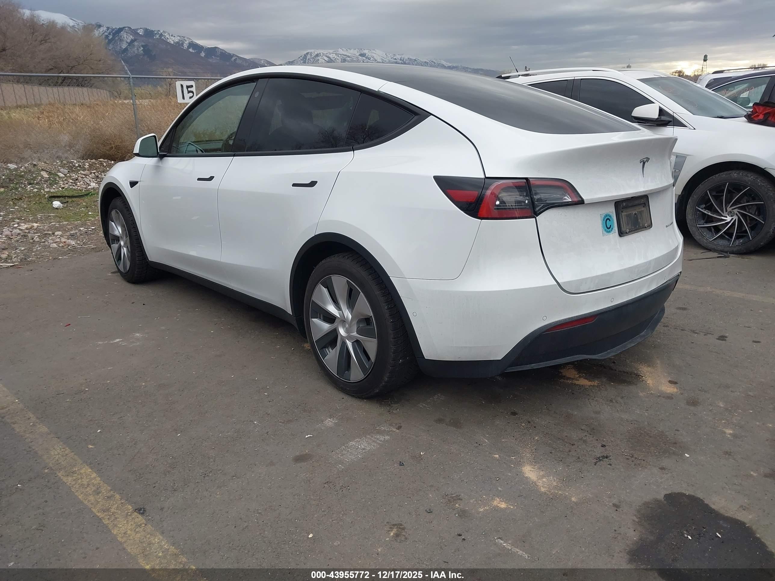 TESLA MODEL image 3