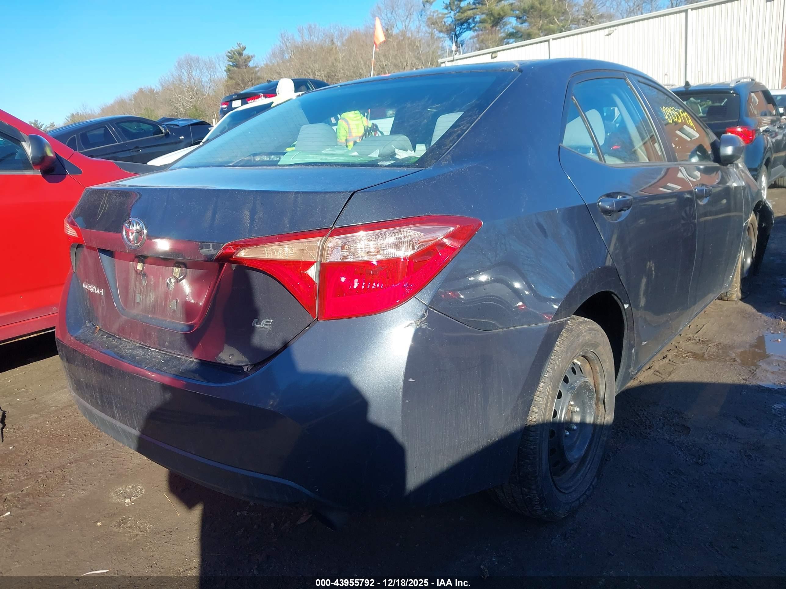 TOYOTA COROLLA image 4
