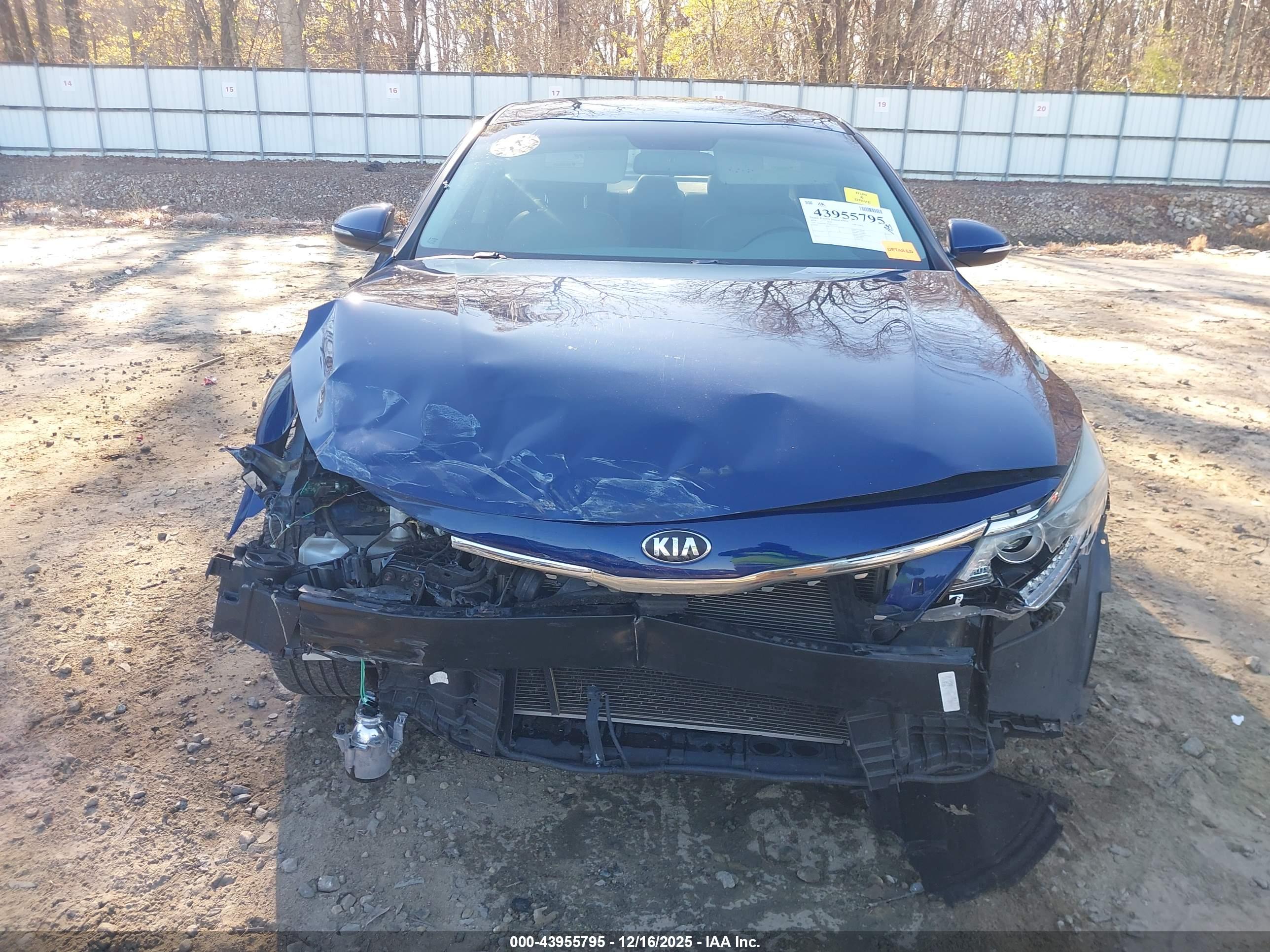 KIA OPTIMA image 6