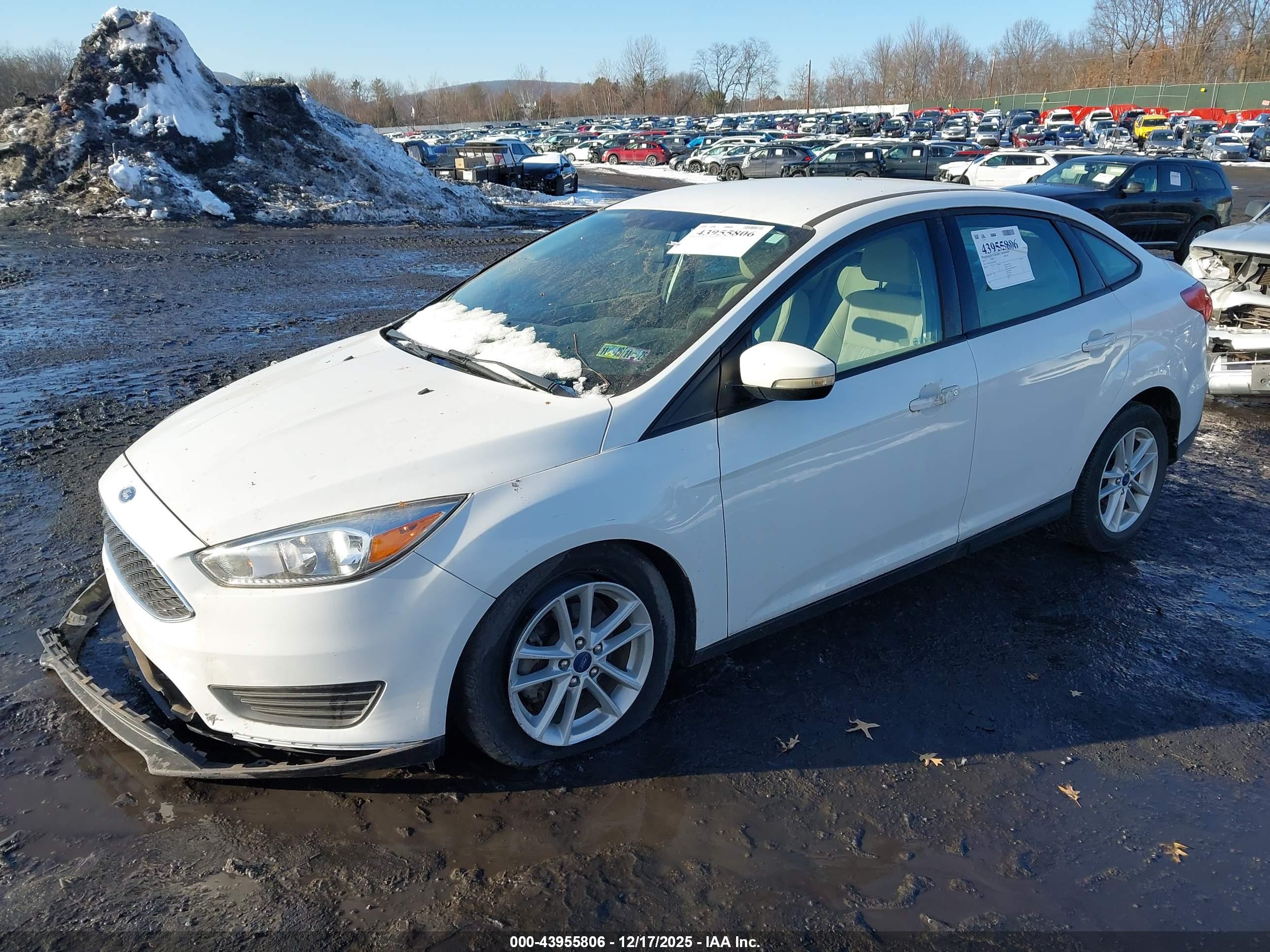 FORD FOCUS image 2