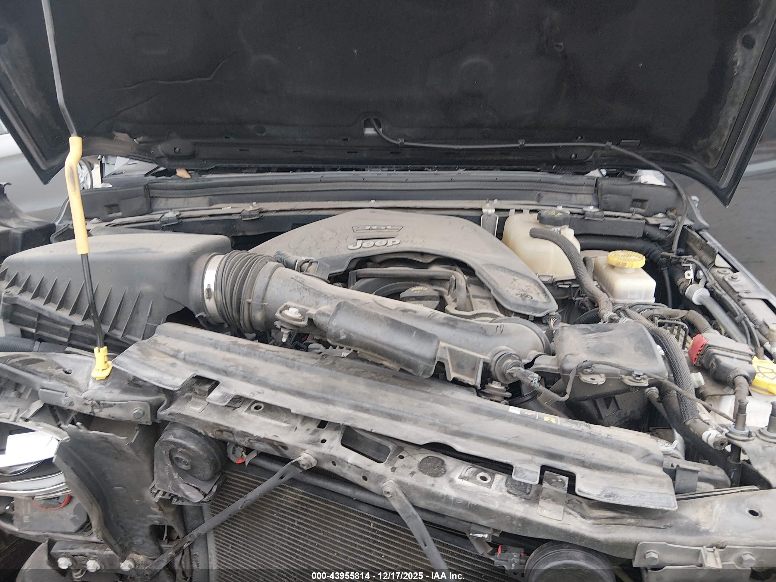 JEEP WRANGLER image 10