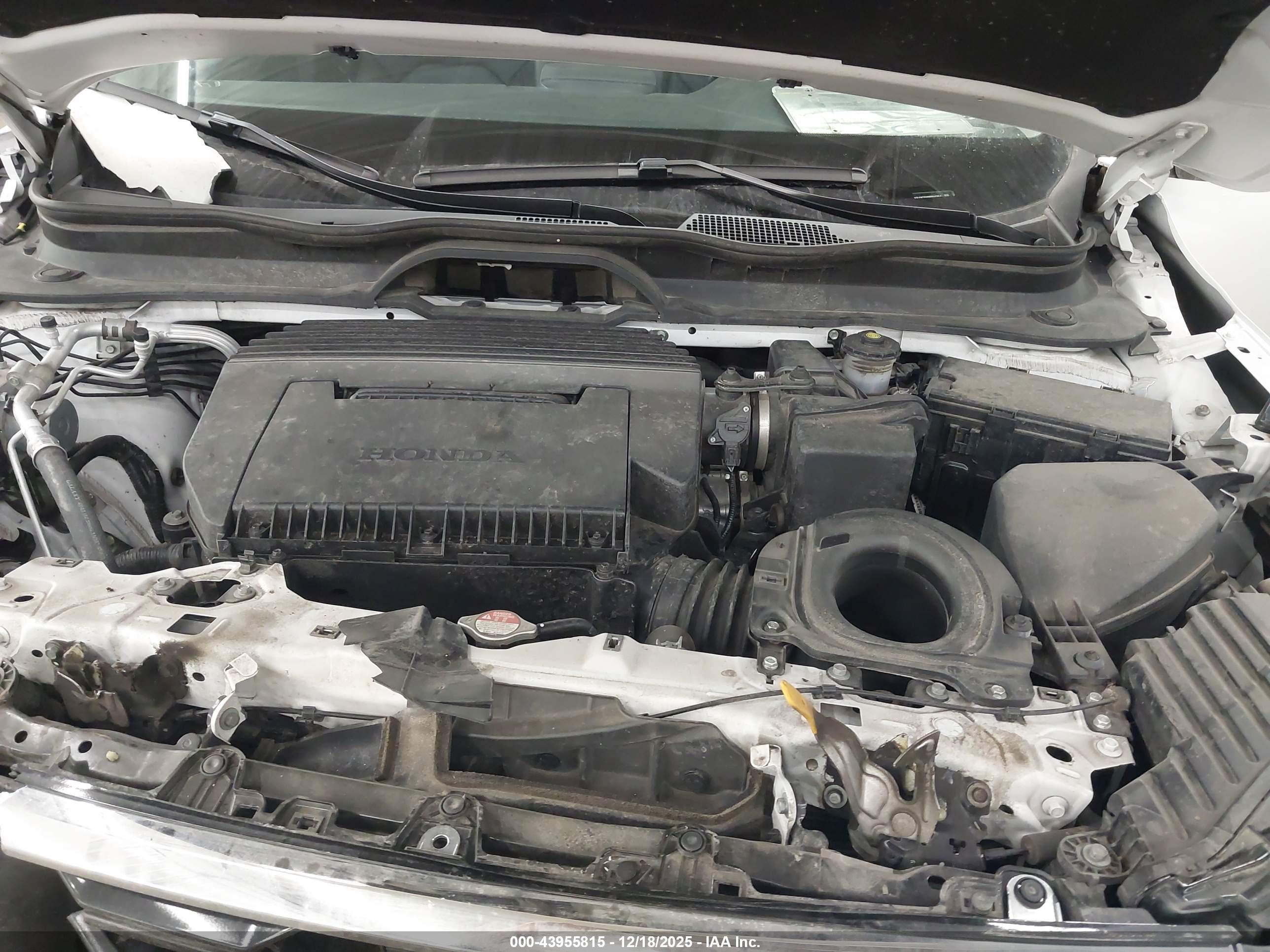 HONDA PILOT image 10