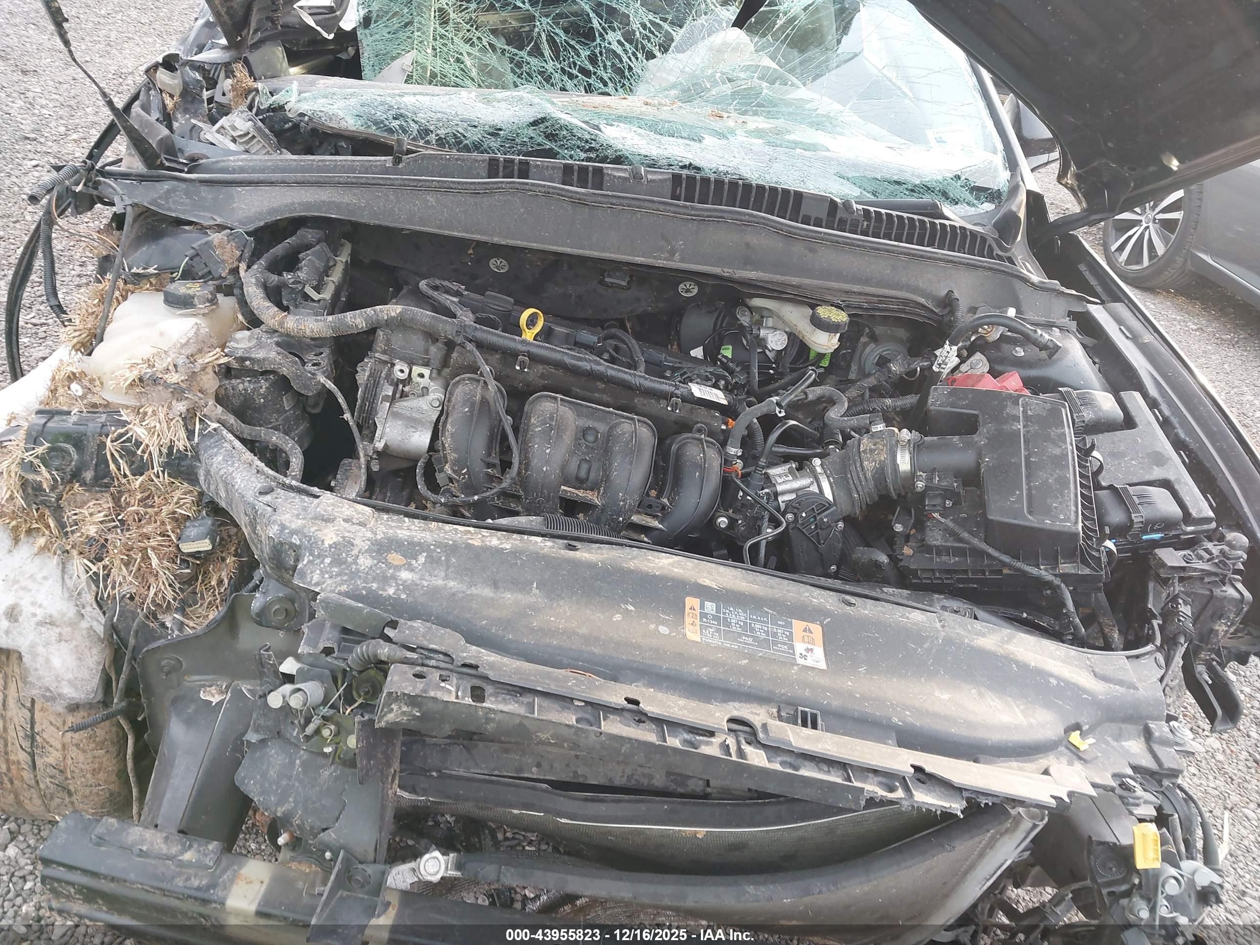 FORD FUSION image 10
