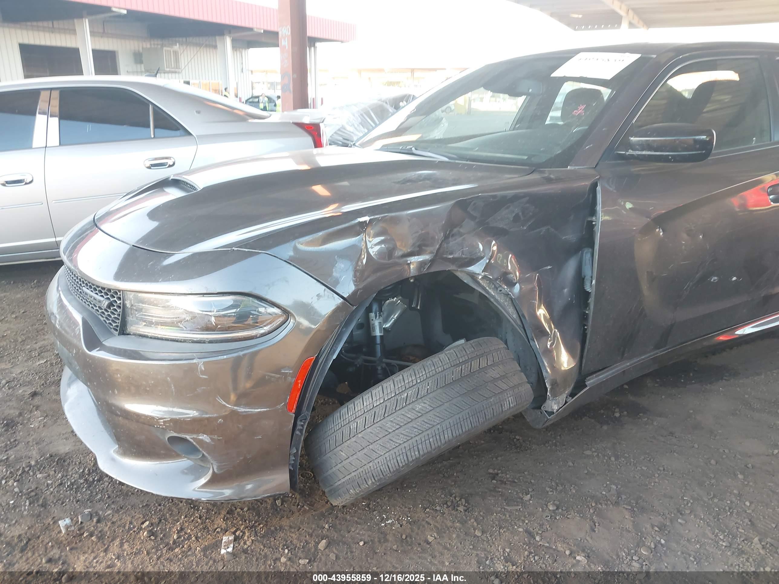 DODGE CHARGER image 6