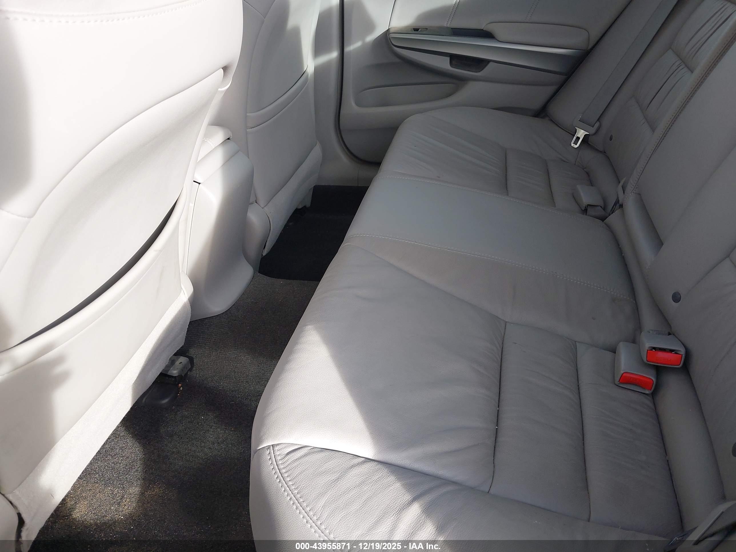 HONDA ACCORD image 8
