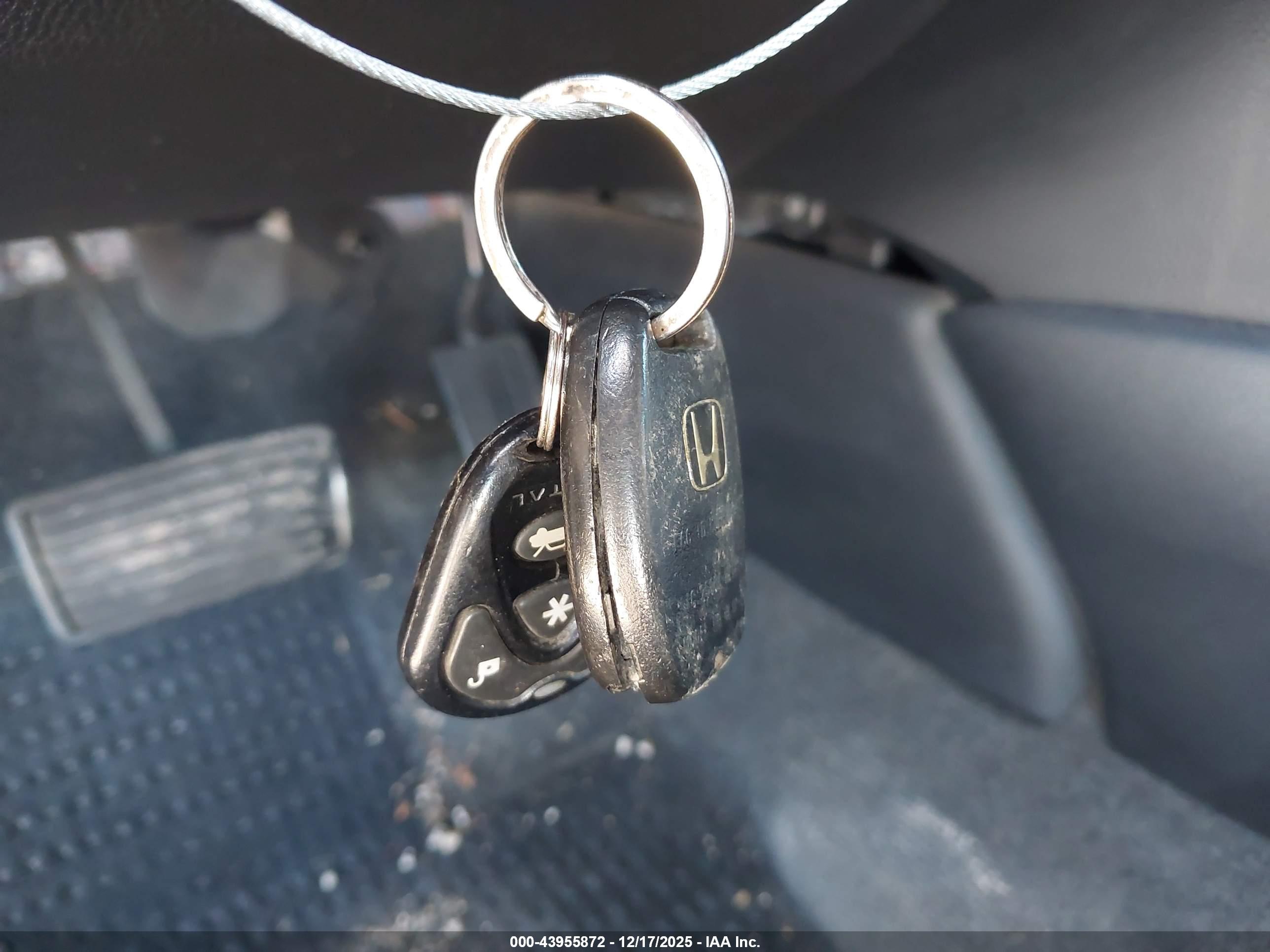 HONDA ACCORD image 11