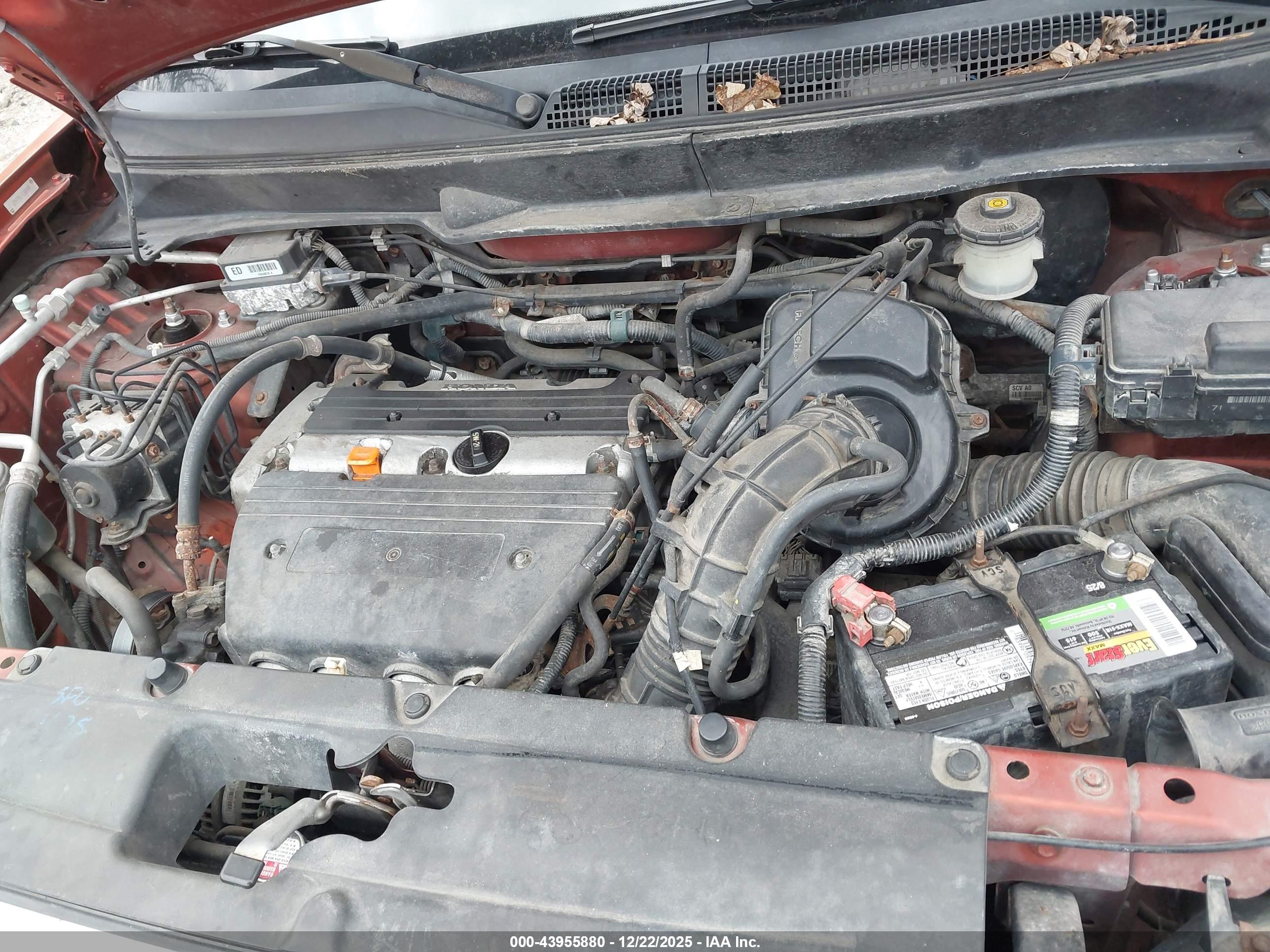 HONDA ELEMENT image 10