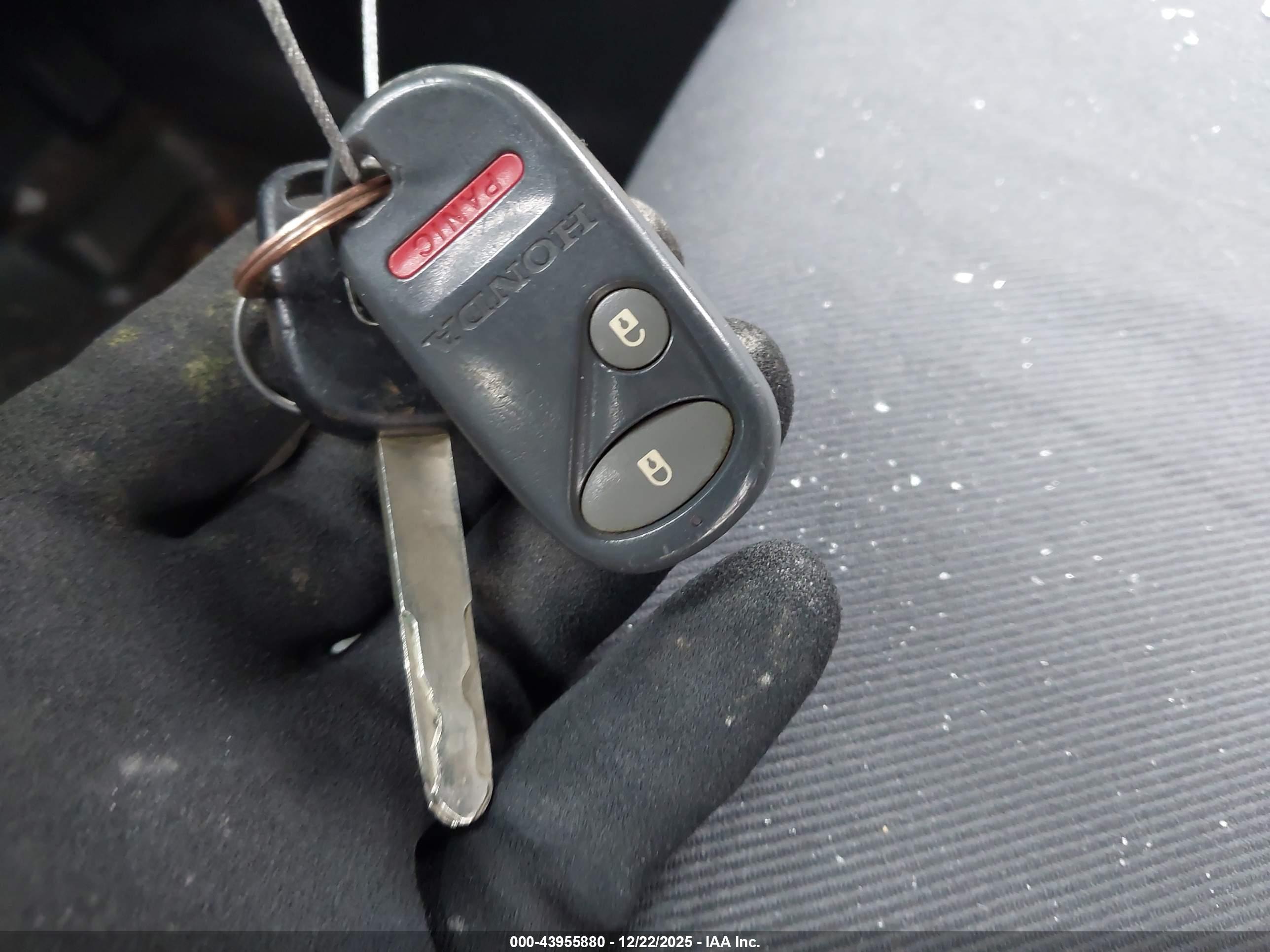 HONDA ELEMENT image 11
