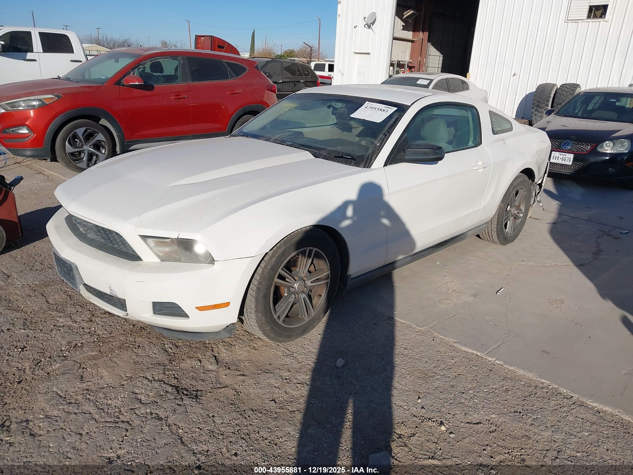 FORD MUSTANG image 2