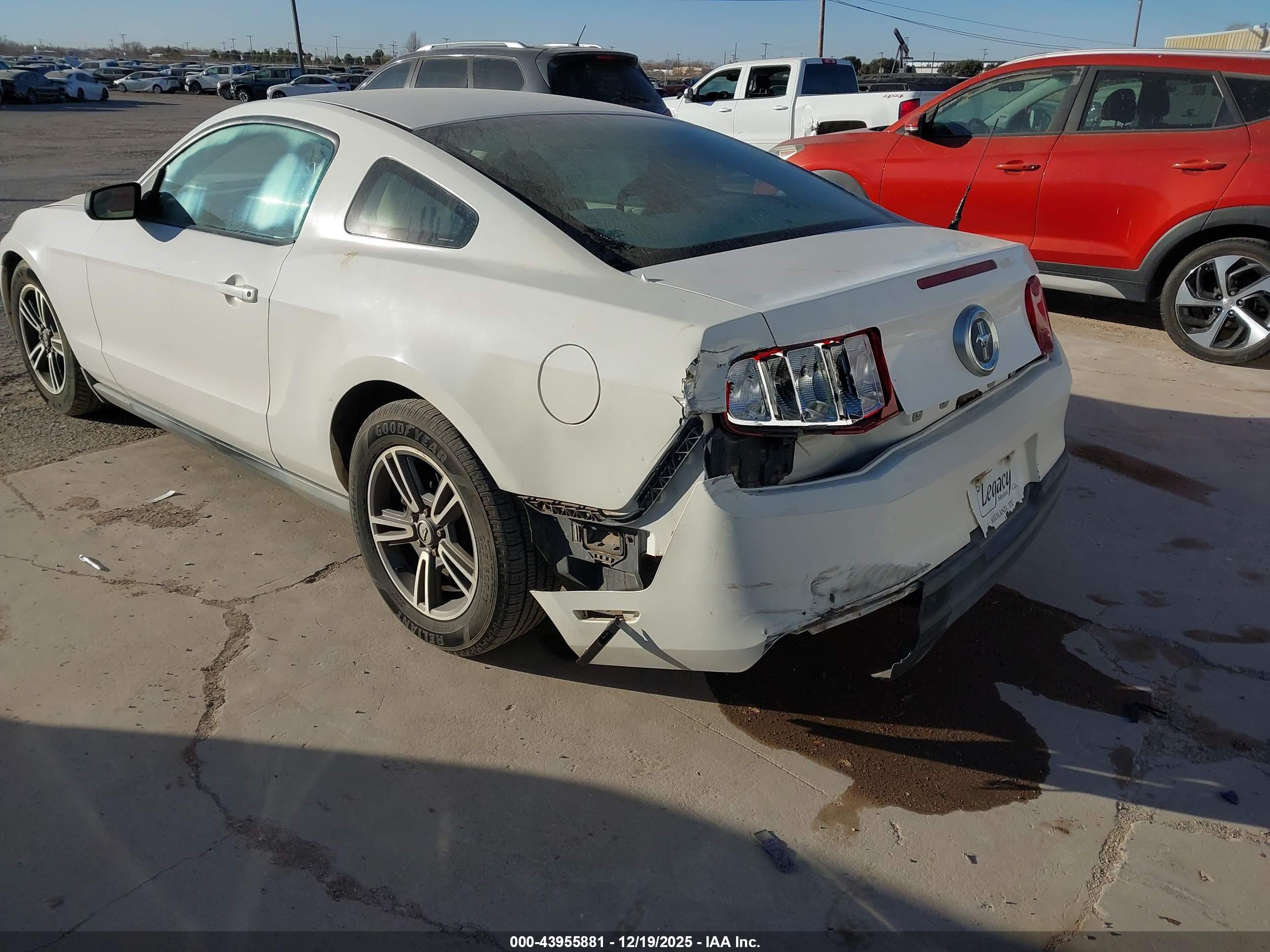 FORD MUSTANG image 6