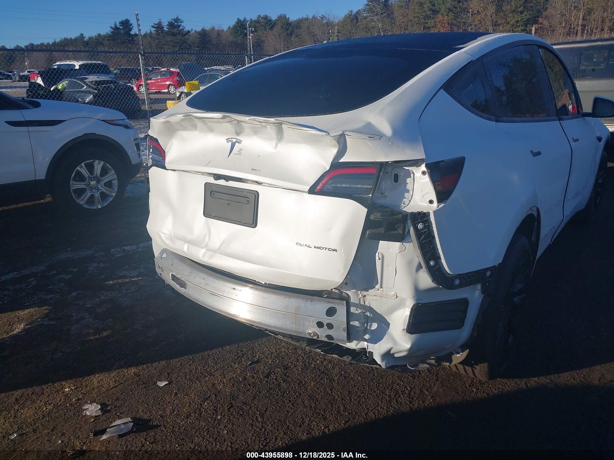 TESLA MODEL image 6