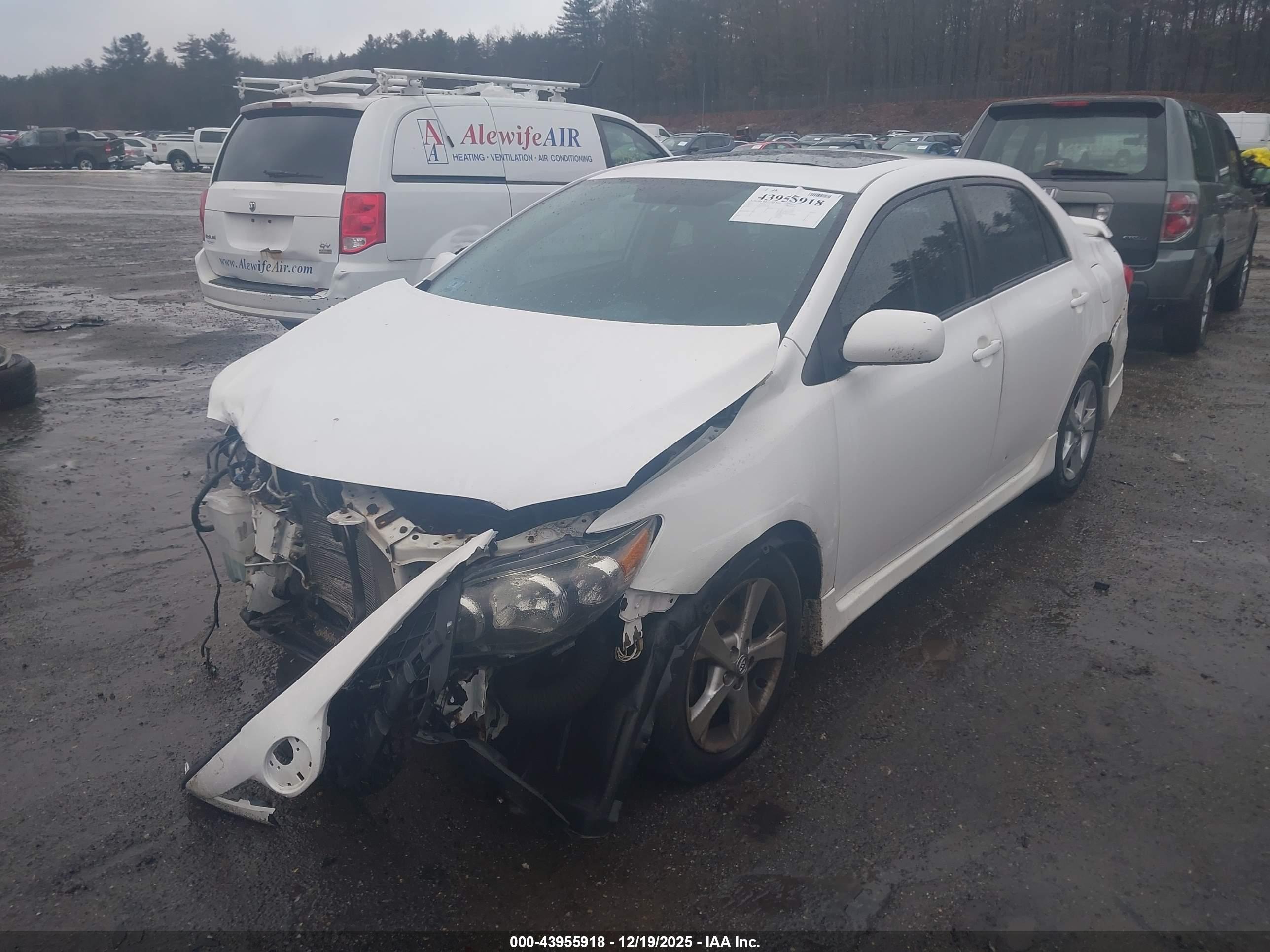 TOYOTA COROLLA image 2