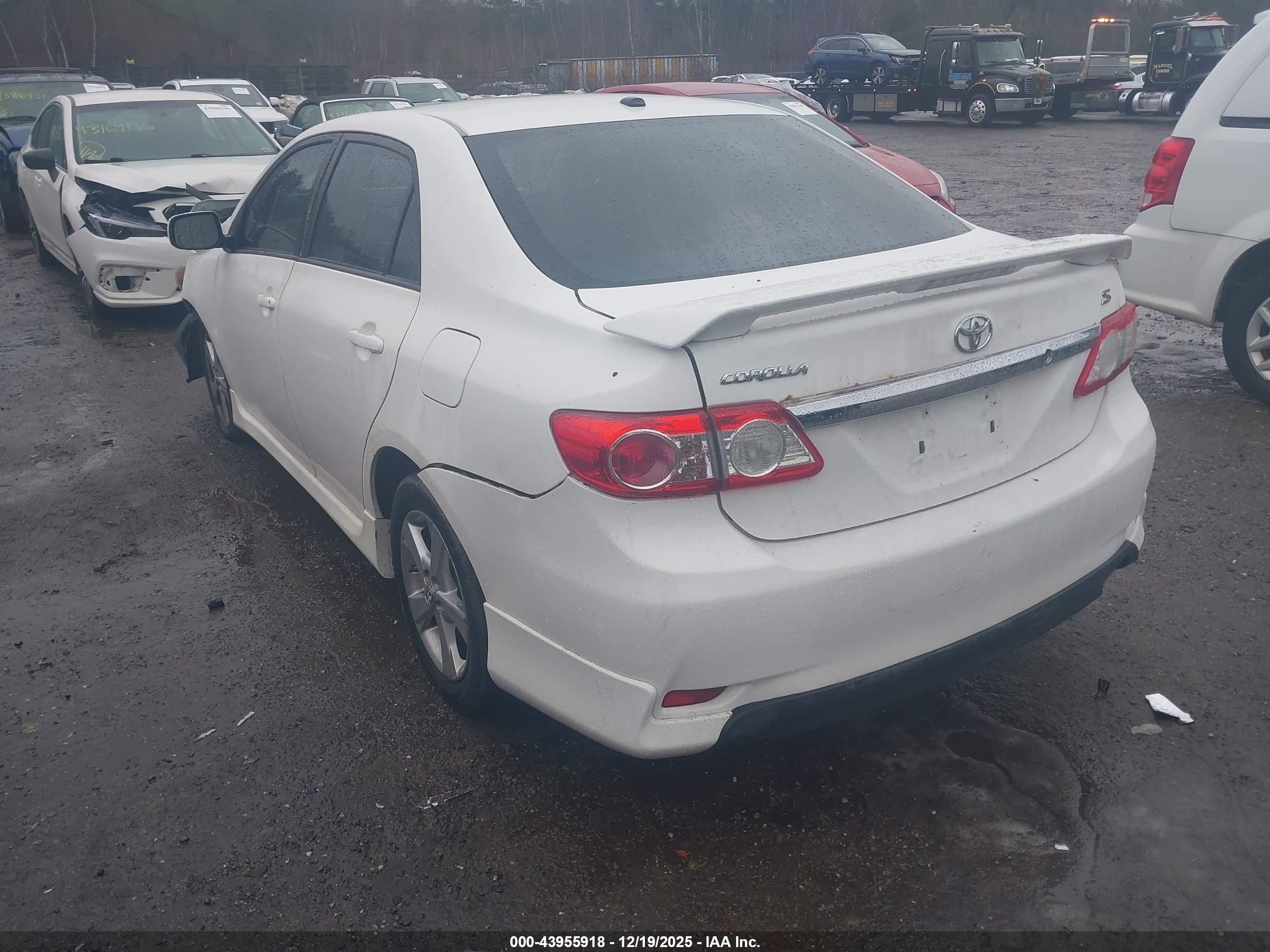 TOYOTA COROLLA image 3