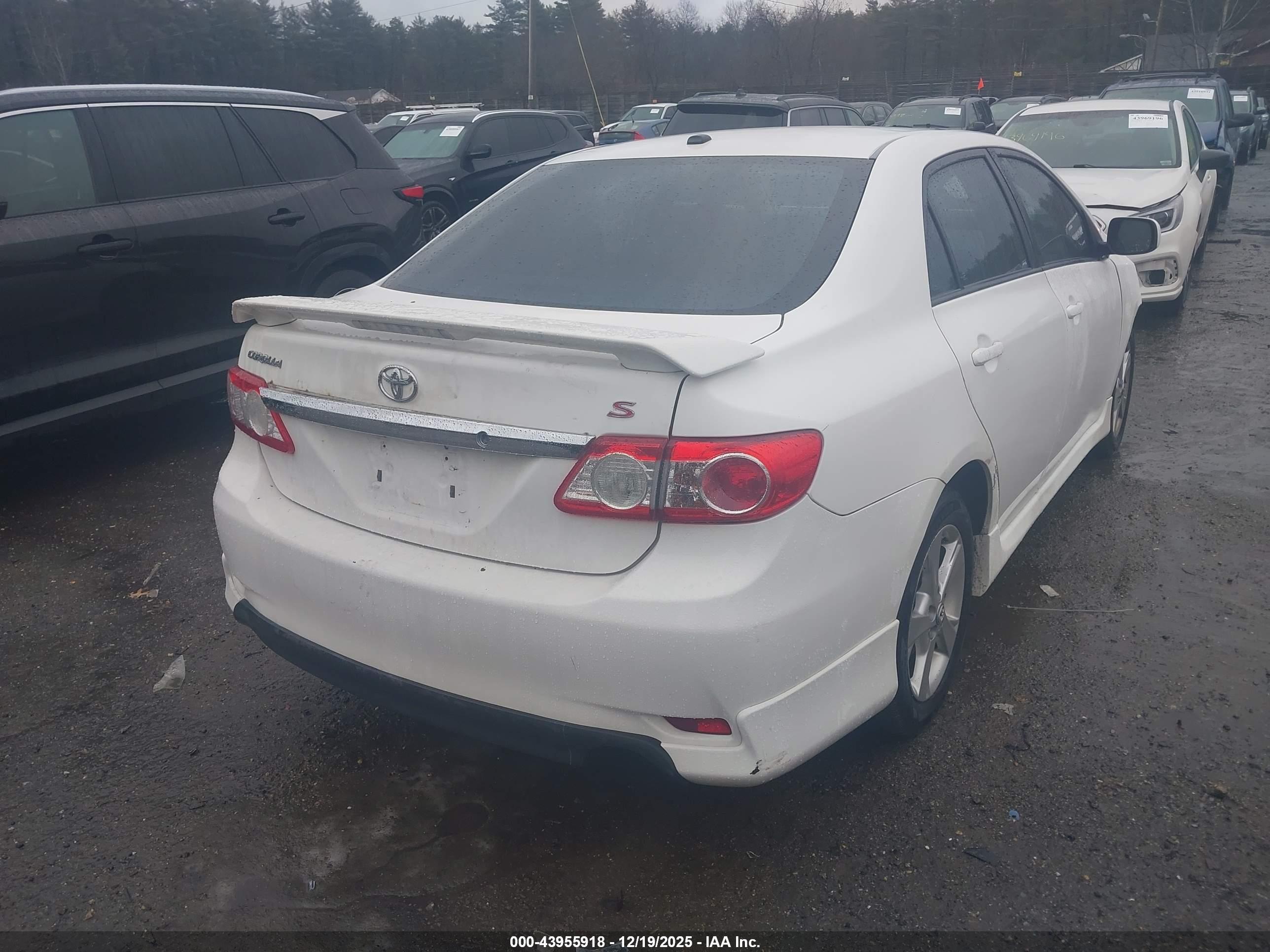 TOYOTA COROLLA image 4